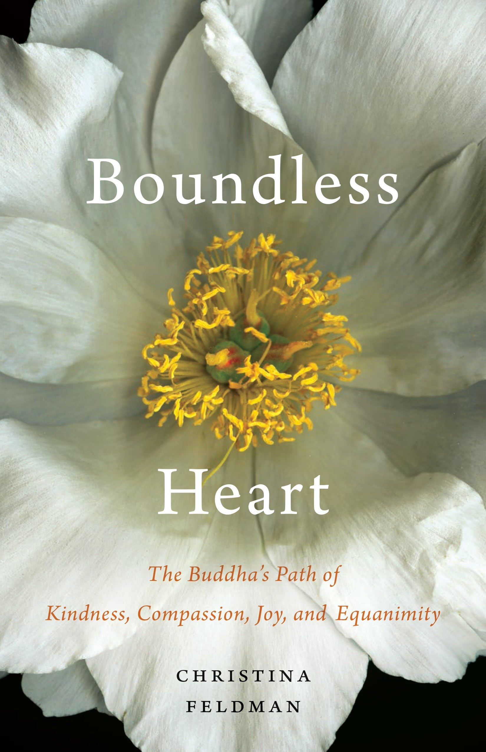 Boundless Heart: The Buddha's Path of Kindness, Compassion, Joy, and Equanimity Philosophy