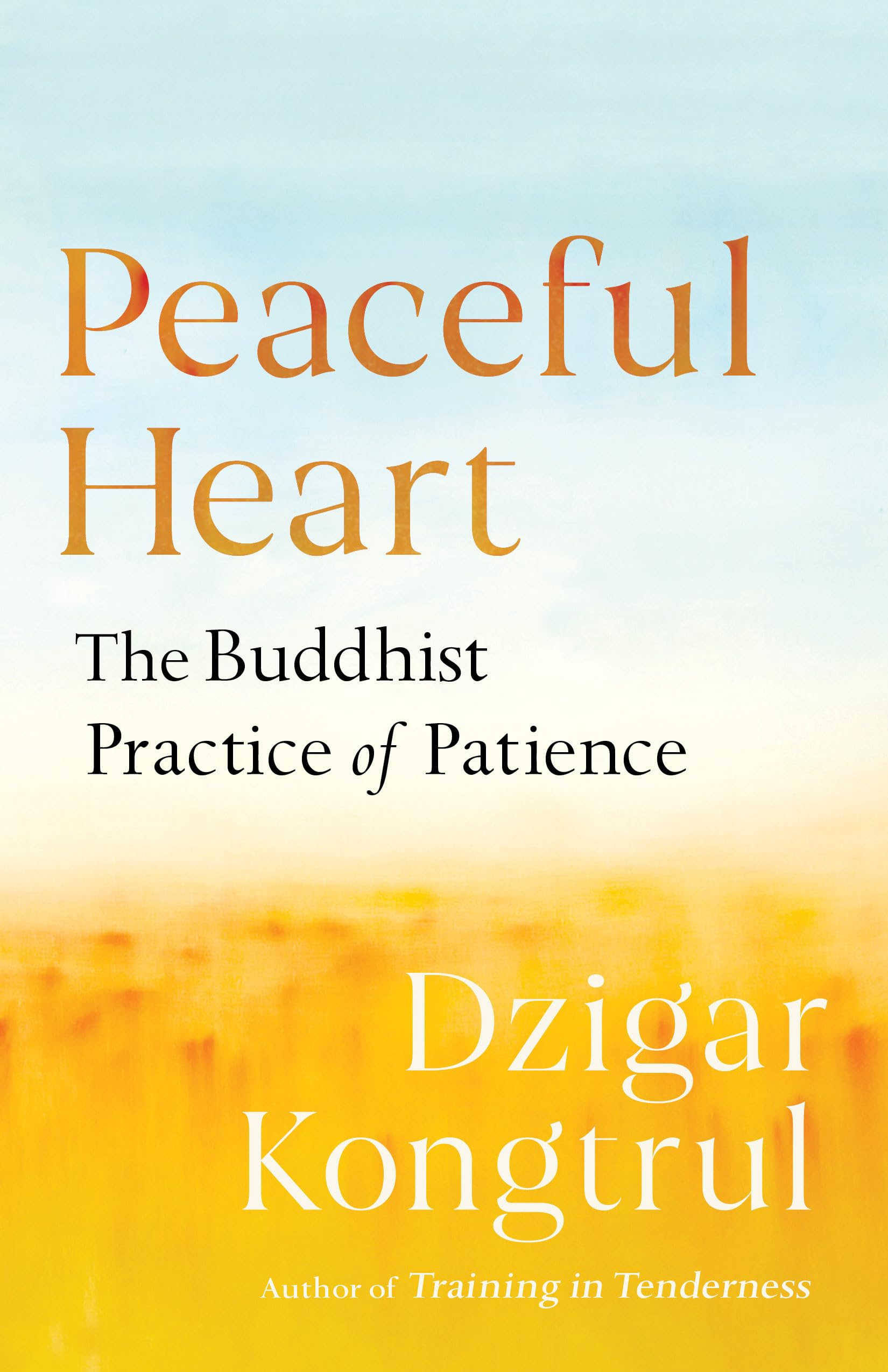 Peaceful Heart: The Buddhist Practice of Patience book