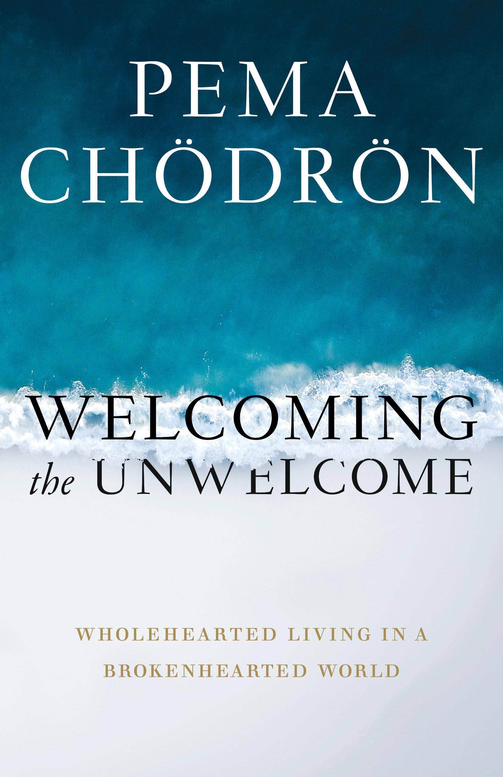 Welcoming the Unwelcome Business, Finance & Career Books