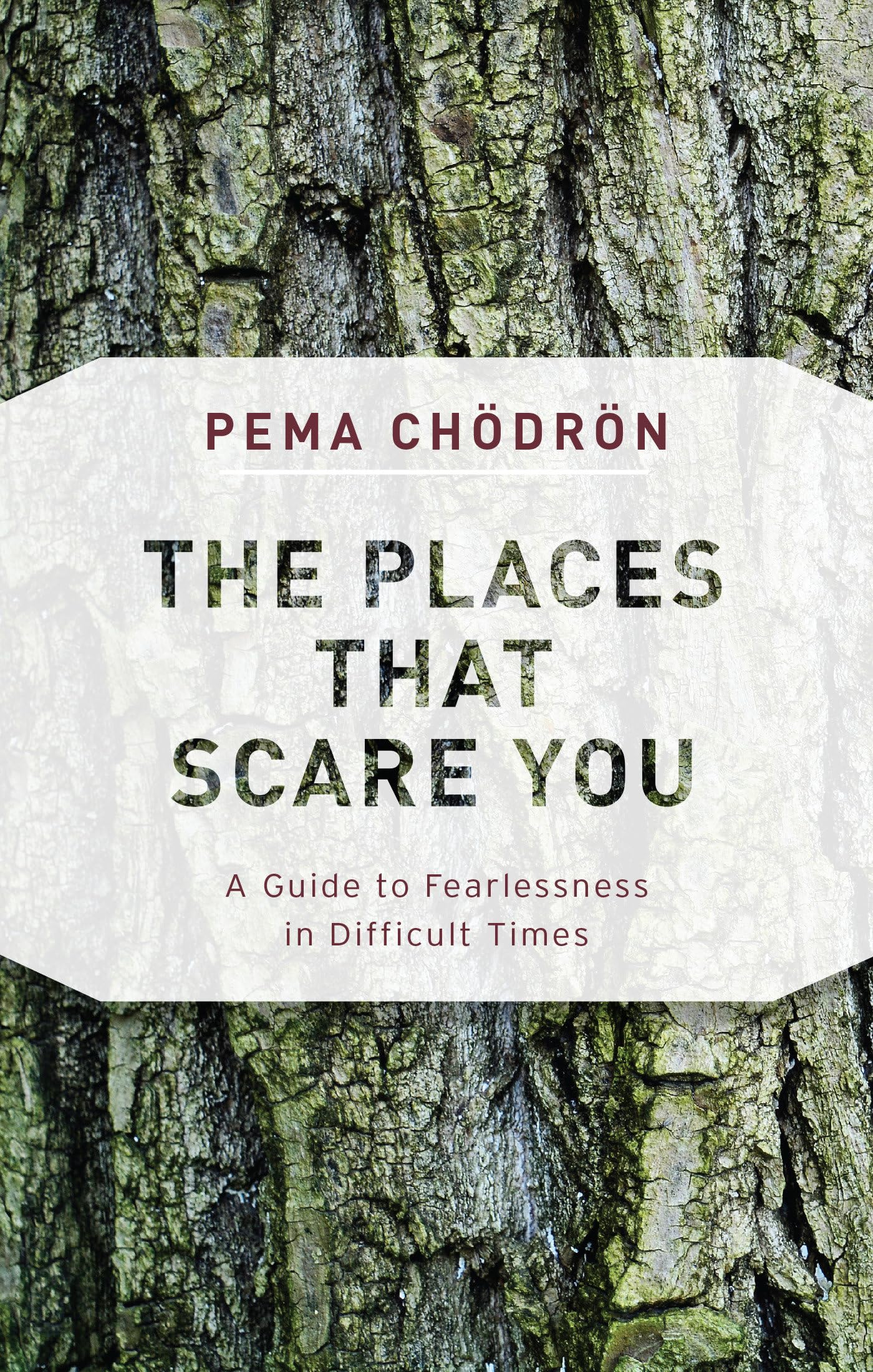 The Places That Scare You: A Guide to Fearlessness in Difficult Times Lifestyle