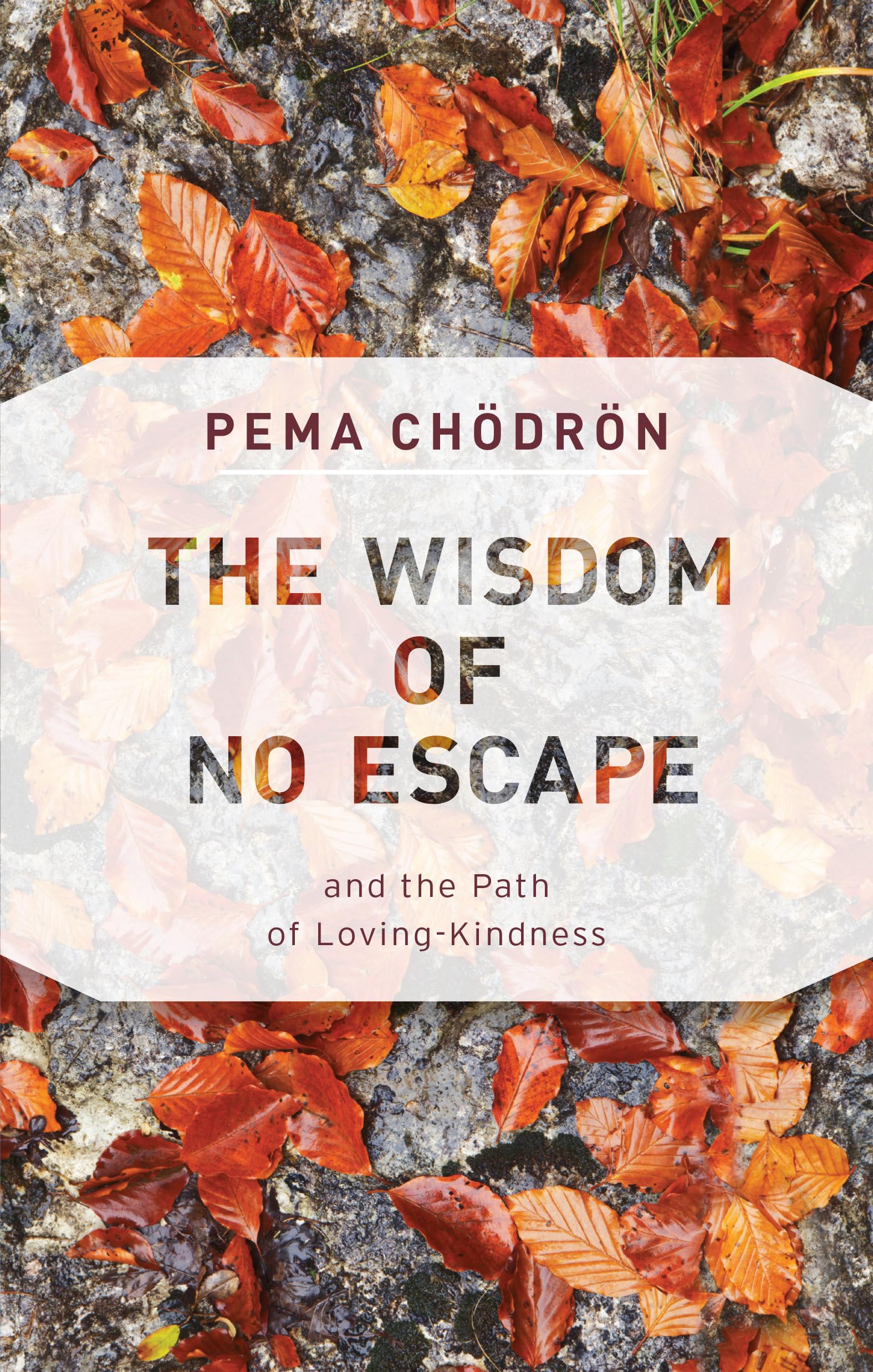 The Wisdom of No Escape book