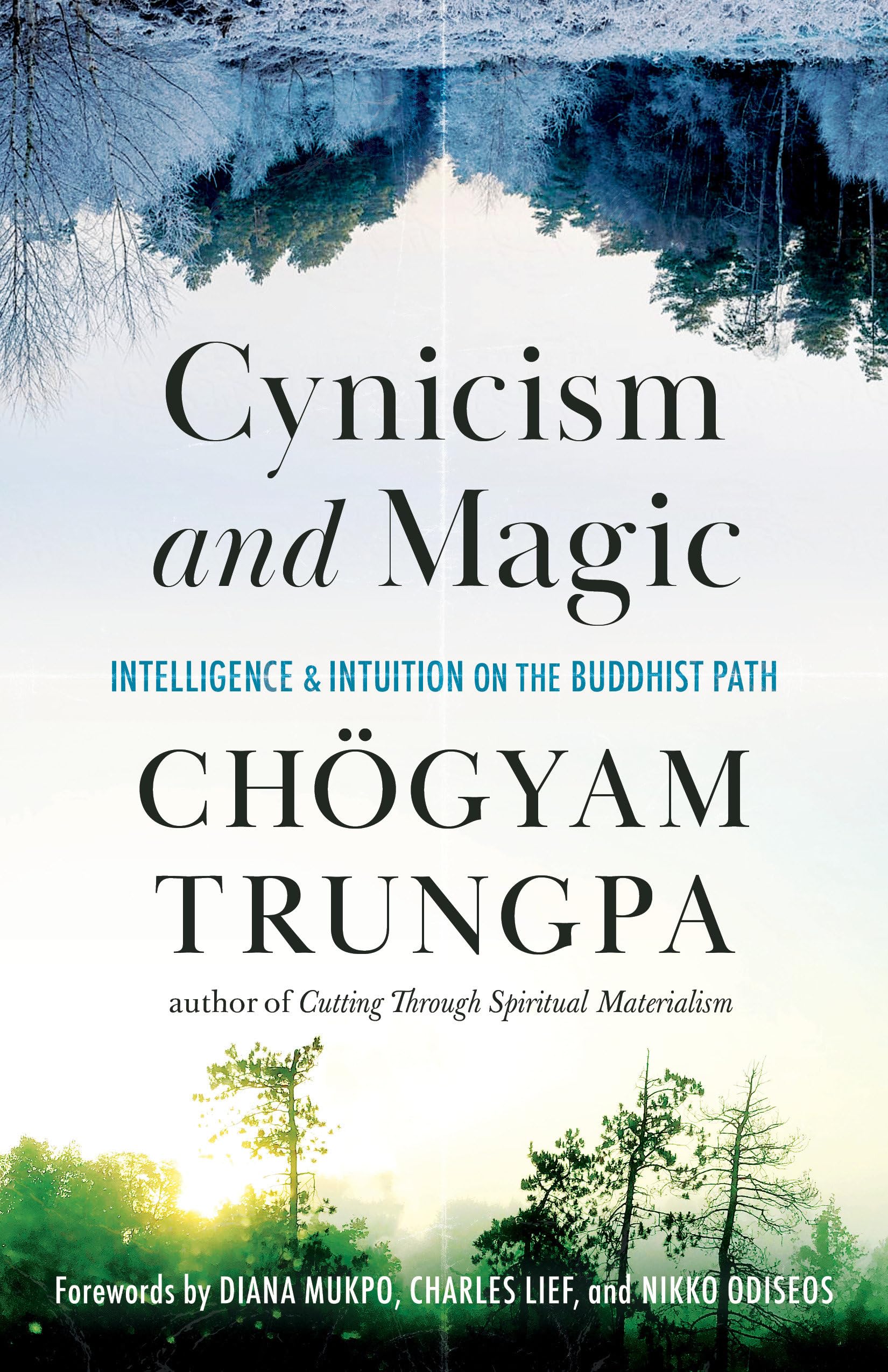 Cynicism and Magic: Intelligence and Intuition on the Buddhist Path Religion & Esotericism