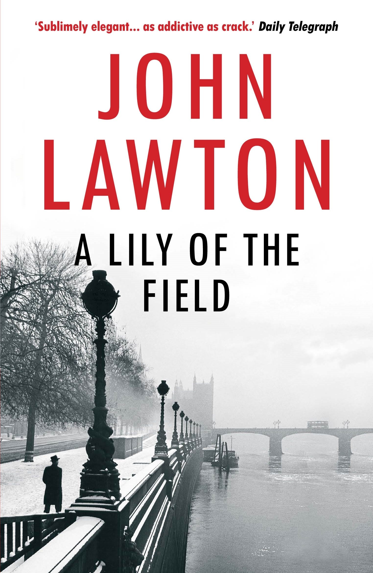A Lily of the Field Contemporary literature