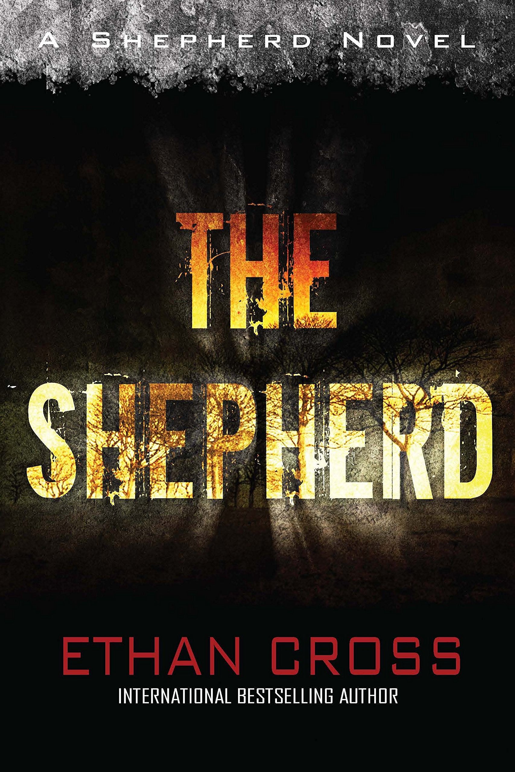 Shepherd: Shepherd Thriller Book 1 Action & Adventure