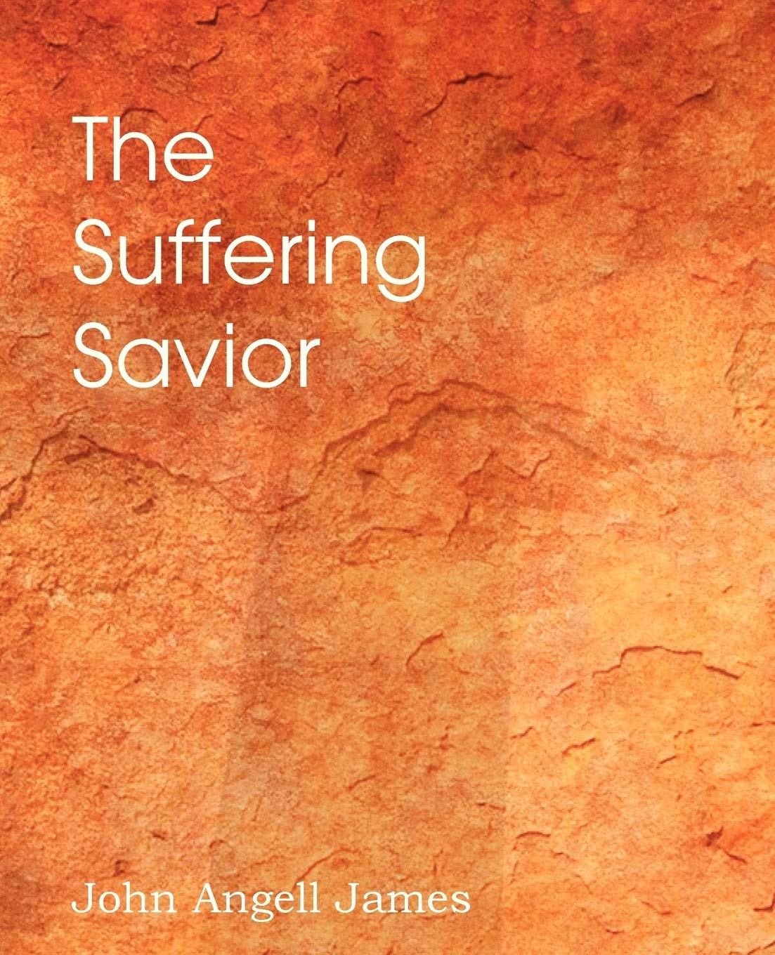 The Suffering Savior, Meditations on the Last Days of Christ Politics & Society