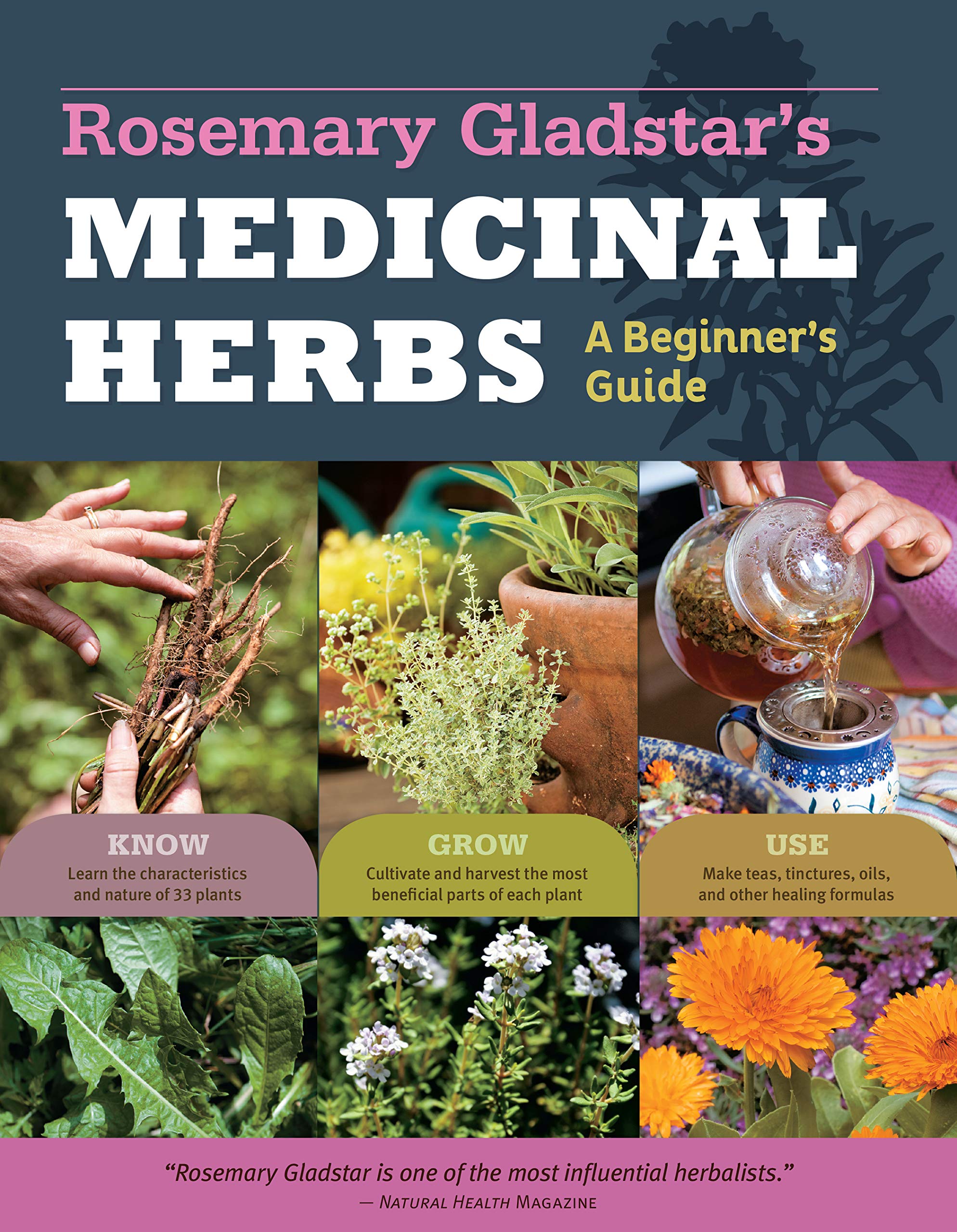 Rosemary Gladstar's Medicinal Herbs: A Beginner's Guide: 33 Healing Herbs to Know, Grow, and Use Garden & Plants