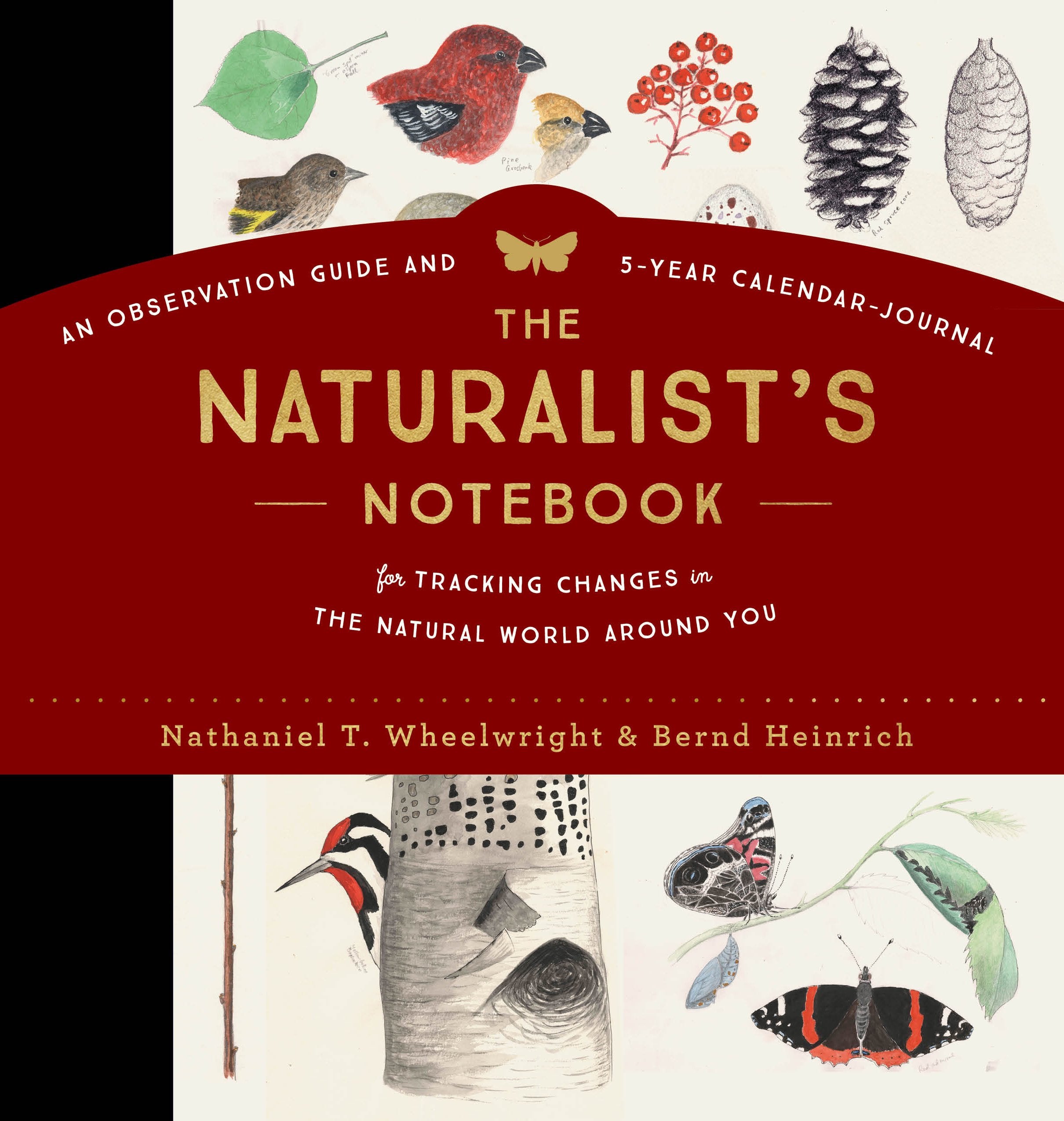The Naturalist's Notebook: An Observation Guide and 5-Year Calendar-Journal for Tracking Changes in the Natural World around You Calendars