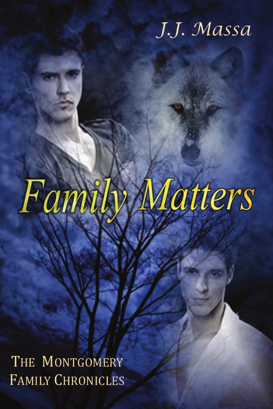 The Montgomery Family Chronicles, Book 4: Family Matters book