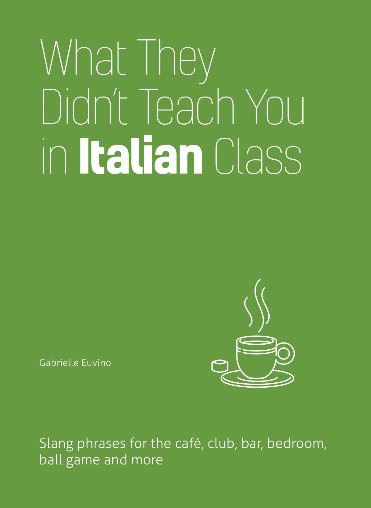What They Didn't Teach You in Italian Class Foreign Languages ​​& Dictionaries