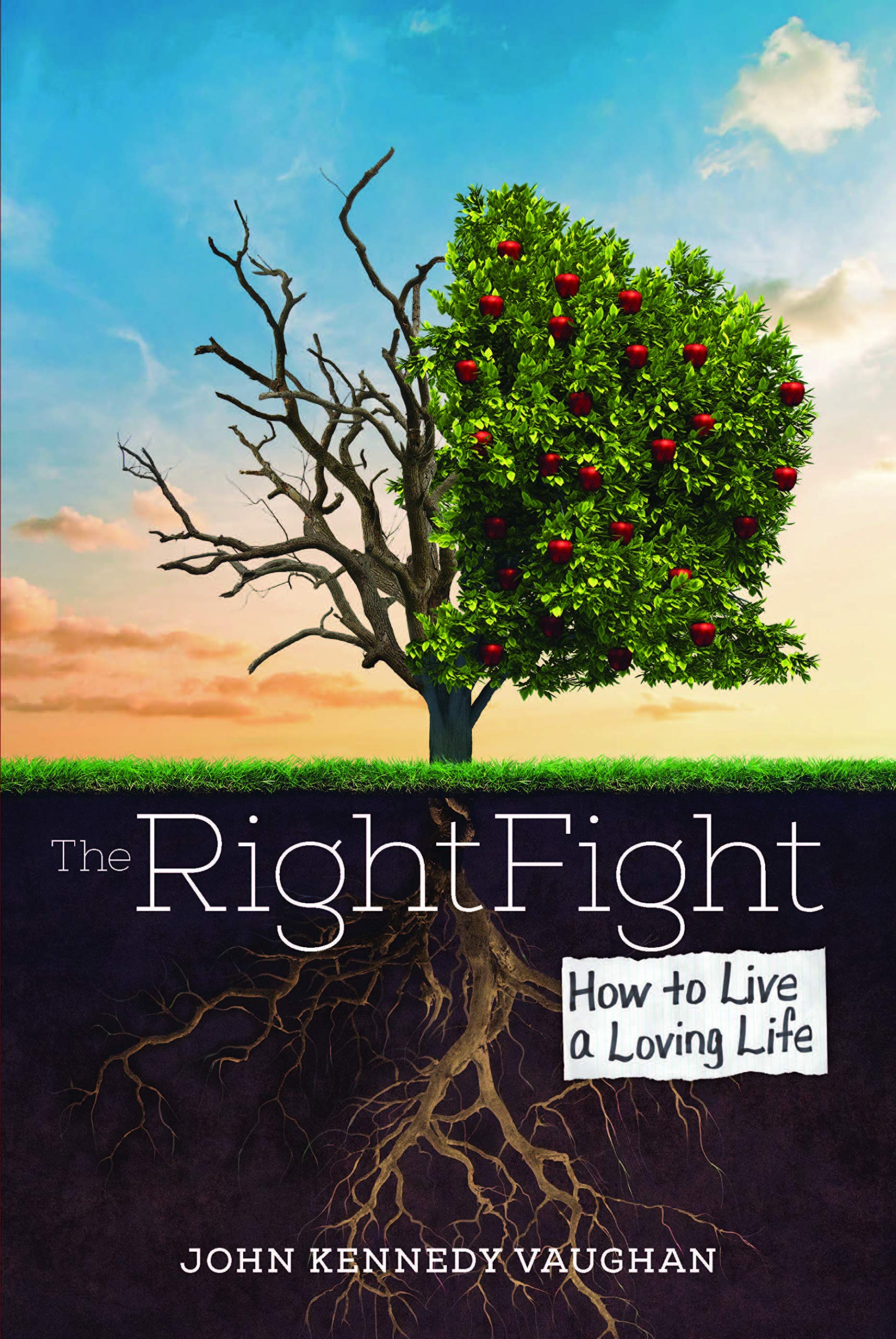 The Right Fight: How to Live a Loving Life Film, Art & Culture