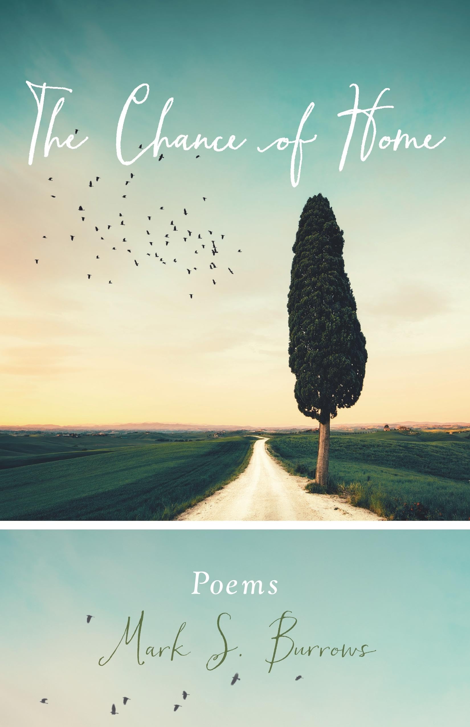 The Chance of Home: Poems (Paraclete Poetry) Poetry