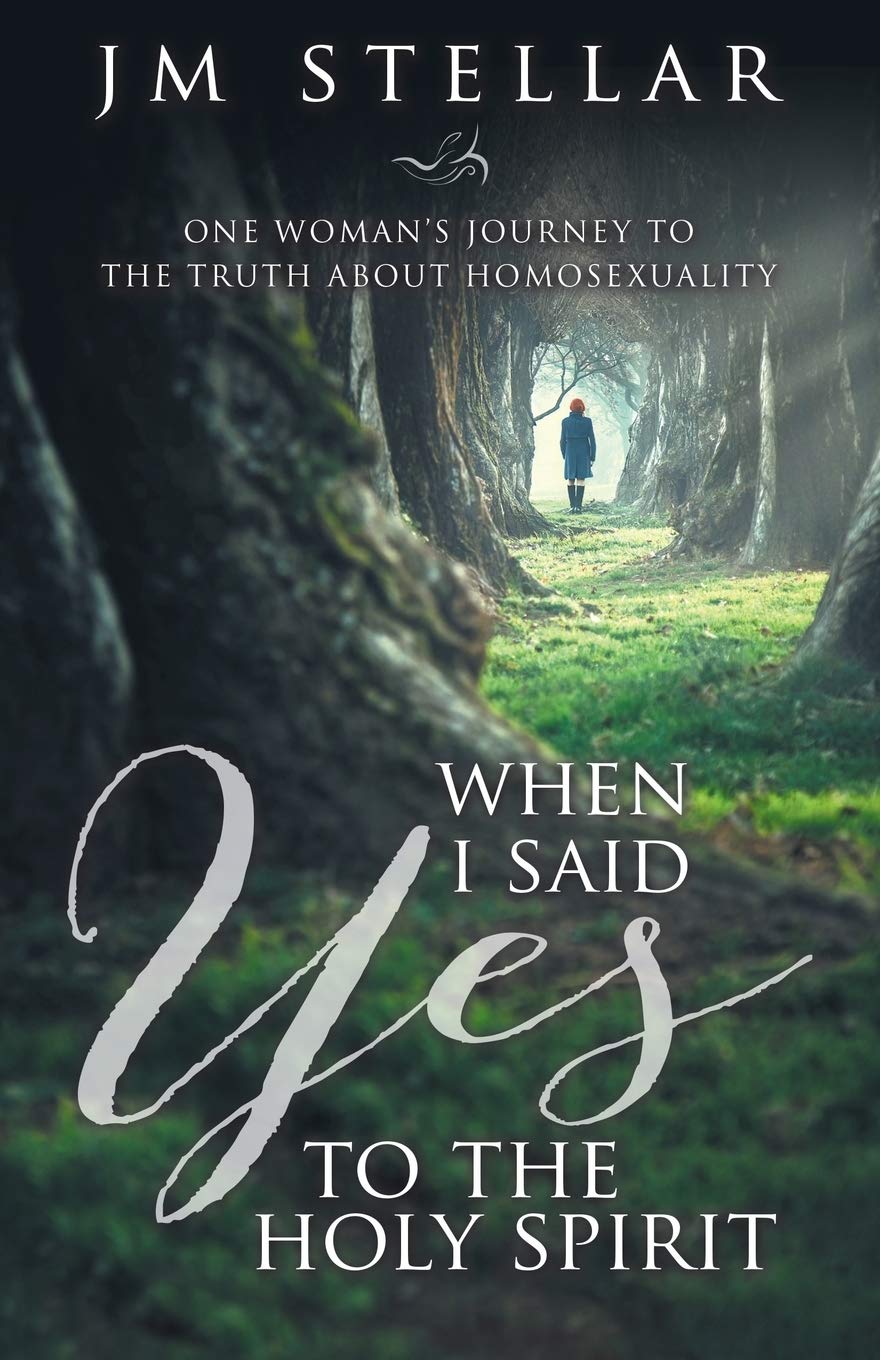 When I Said Yes to the Holy Spirit: One Woman's Journey to the Truth About Homosexuality Books
