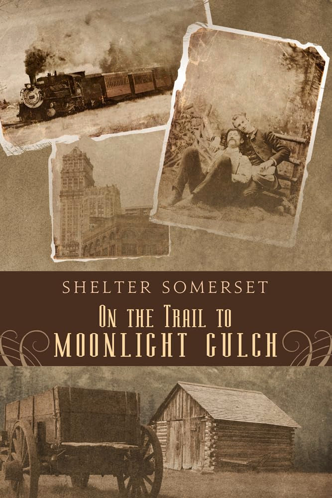 On the Trail to Moonlight Gulch book