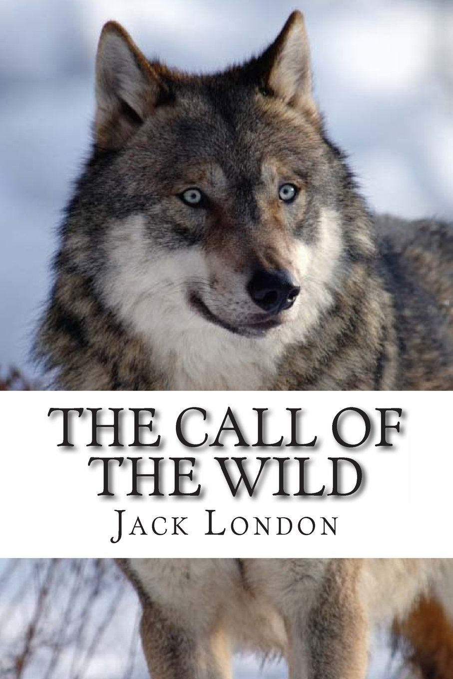 The Call of the Wild book