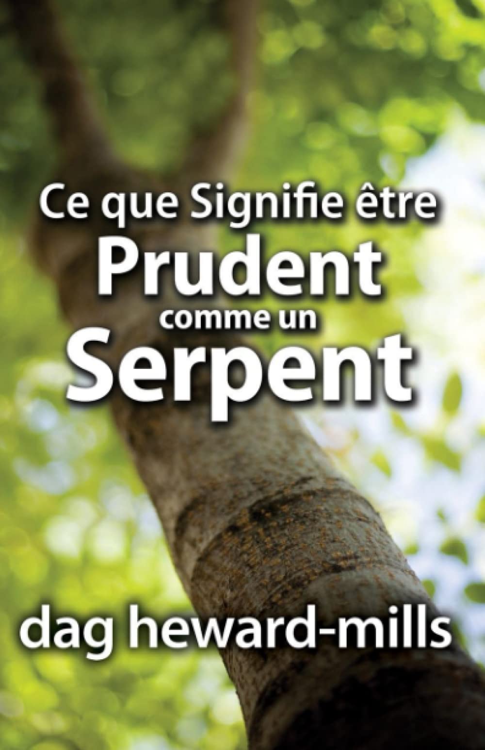 Ce que signifie être prudent comme un serpent Religion & Esotericism