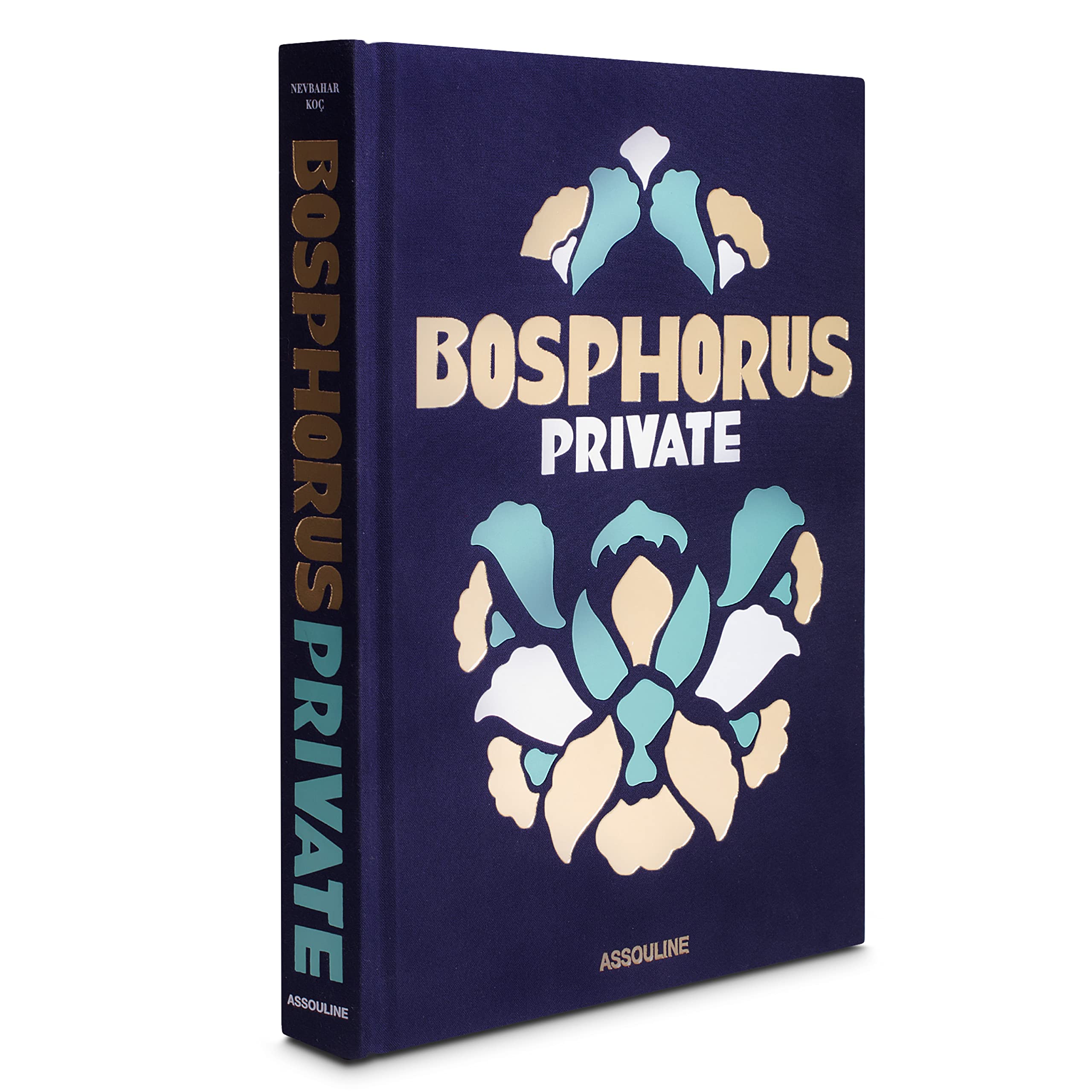 Bosphorus Private: Lifestyle on Istanbul's Magical Waterway Film, Art & Culture