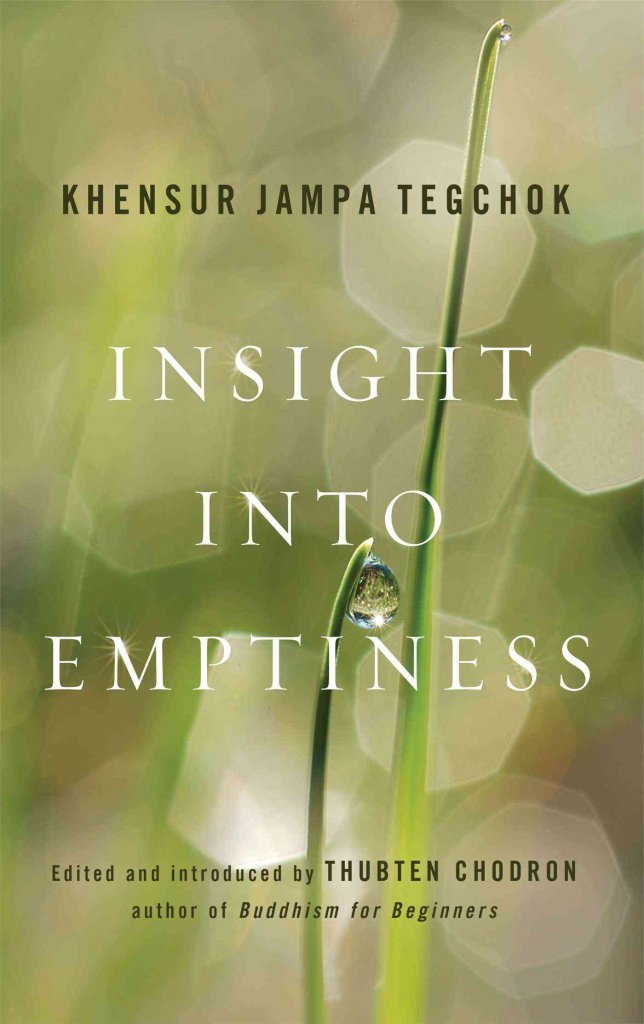 Insight into Emptiness Social Sciences