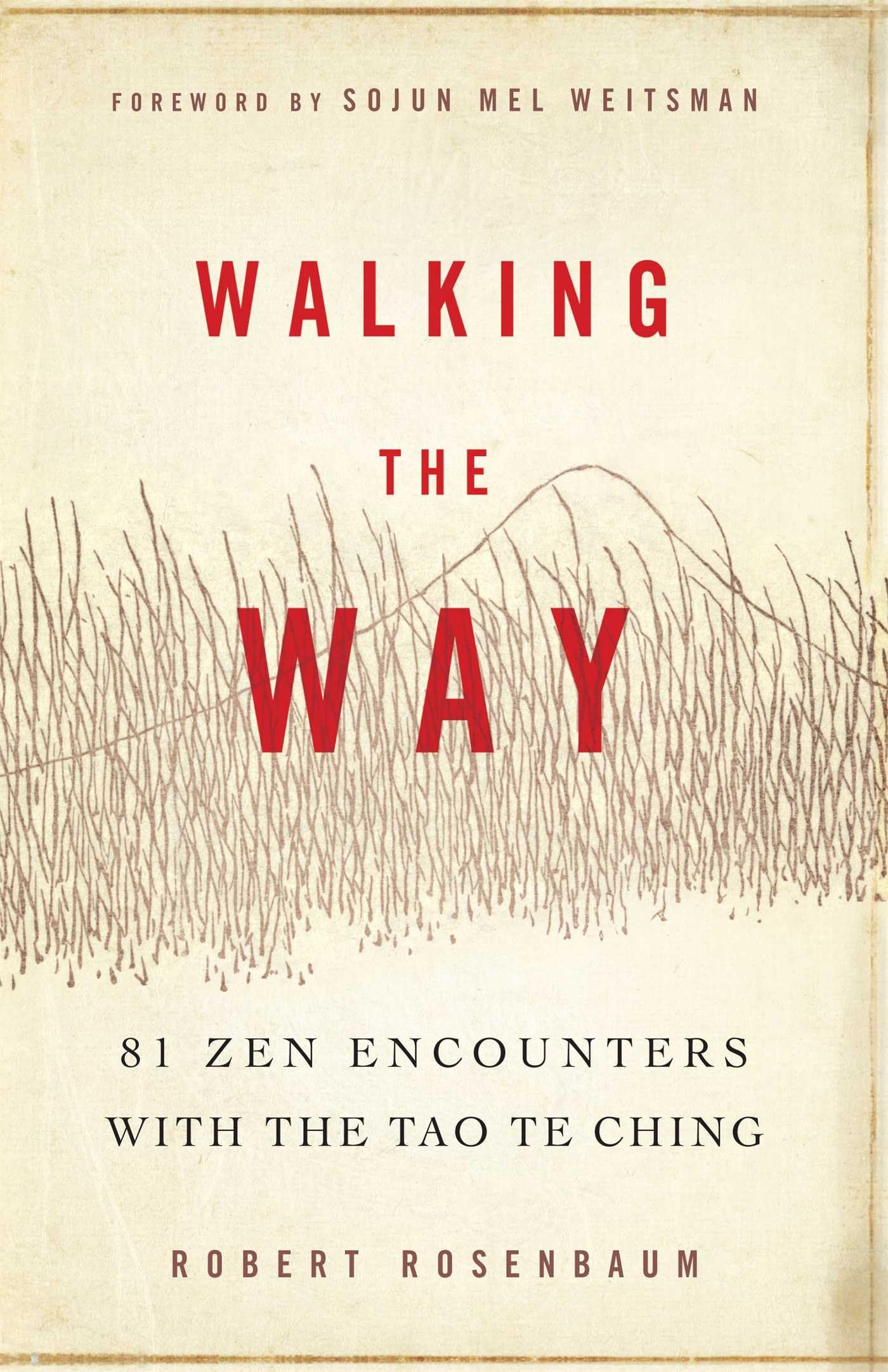 Walking the Way: 81 Zen Encounters with the Tao Te Ching Philosophy