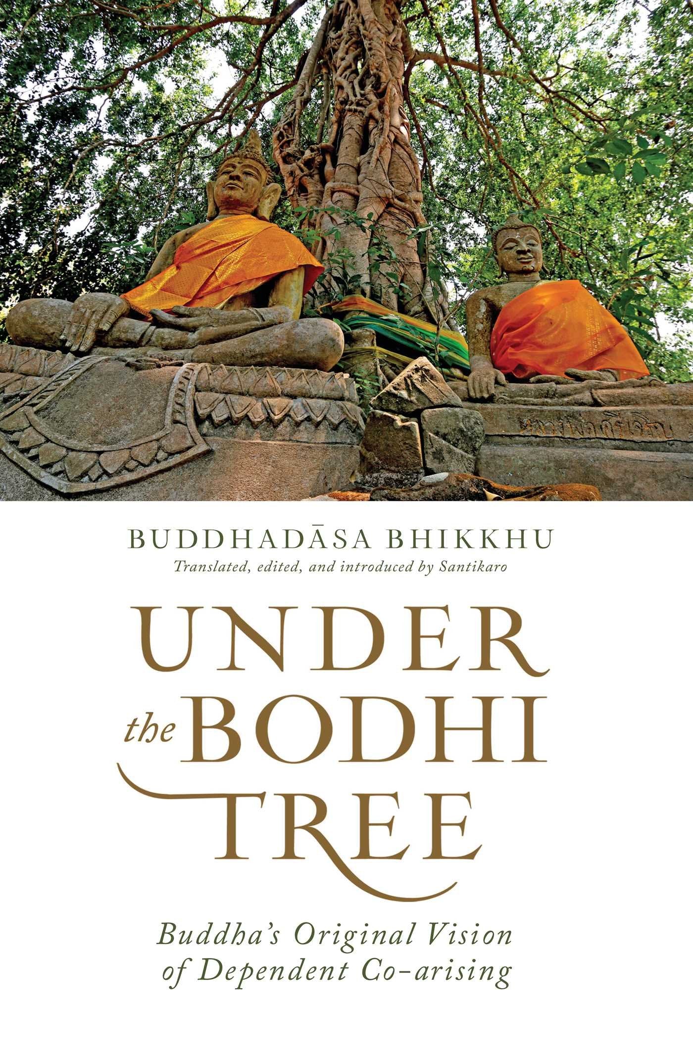 Under the Bodhi Tree: Buddha's Original Vision of Dependent Co-arising Philosophy