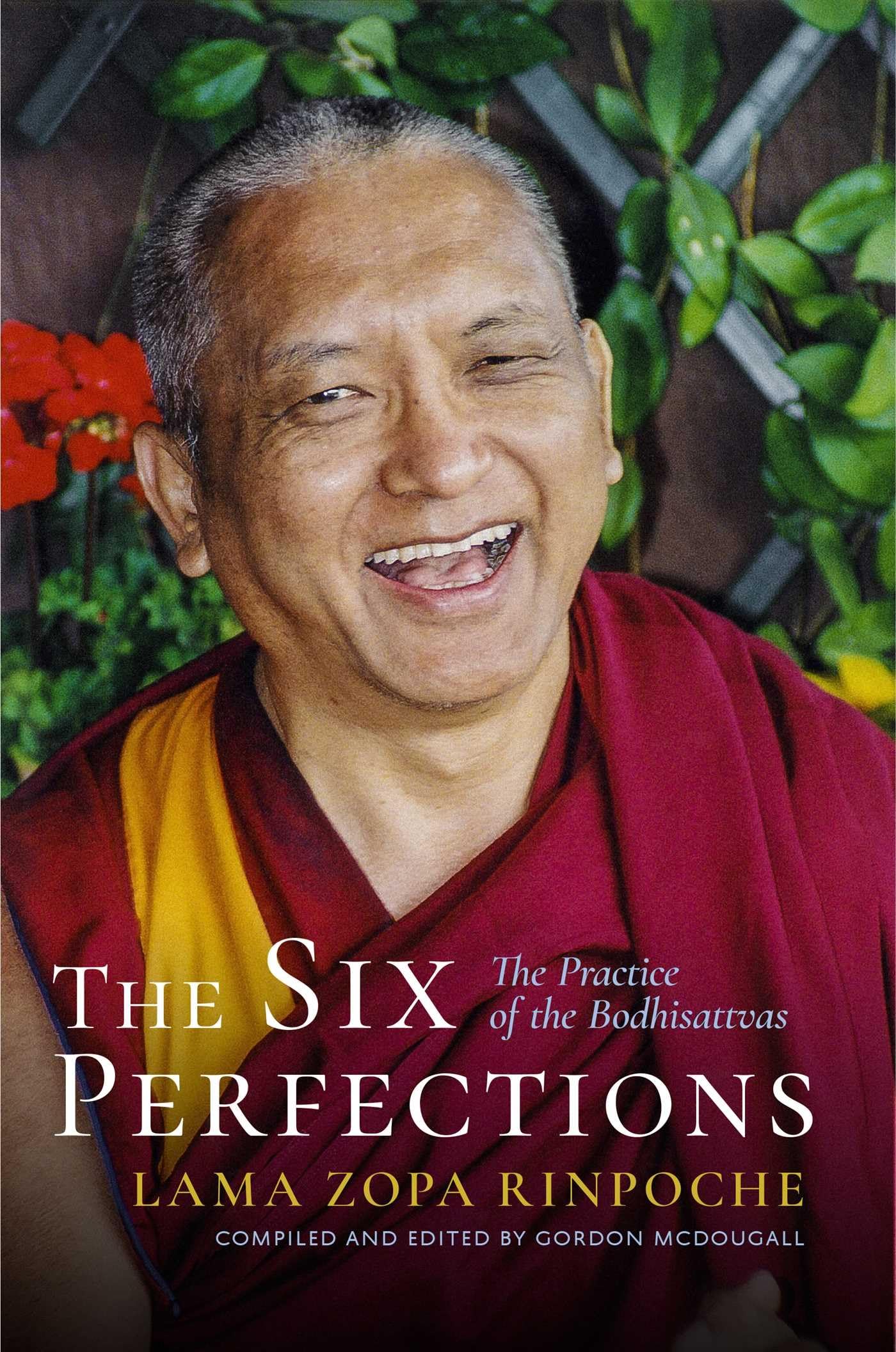 The Six Perfections: The Practice of the Bodhisattvas book