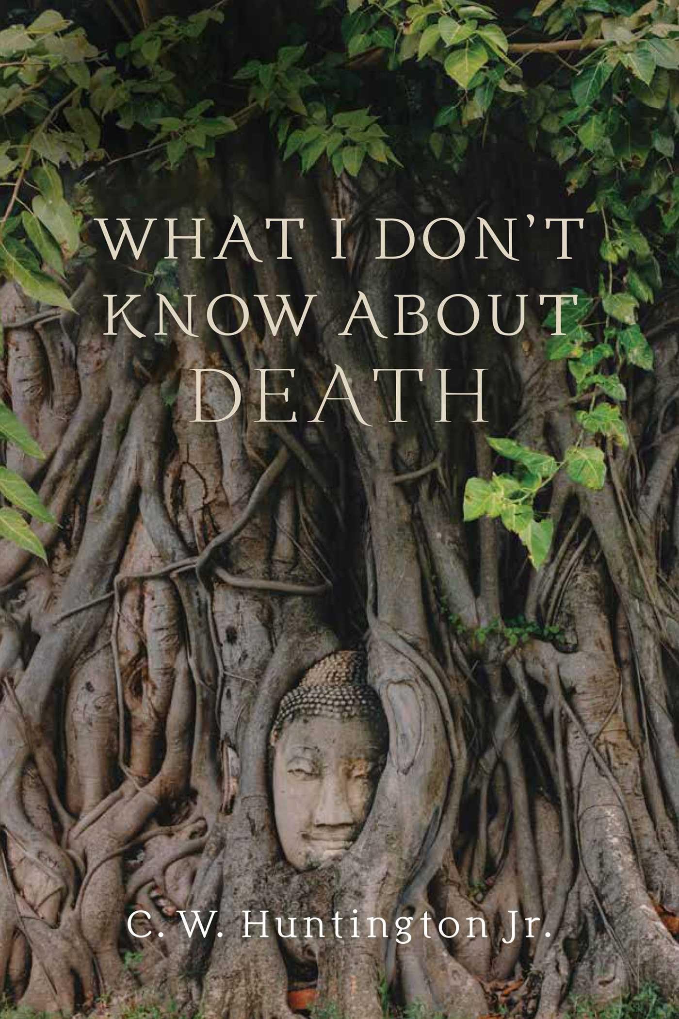 What I Don't Know about Death: Reflections on Buddhism and Mortality Philosophy