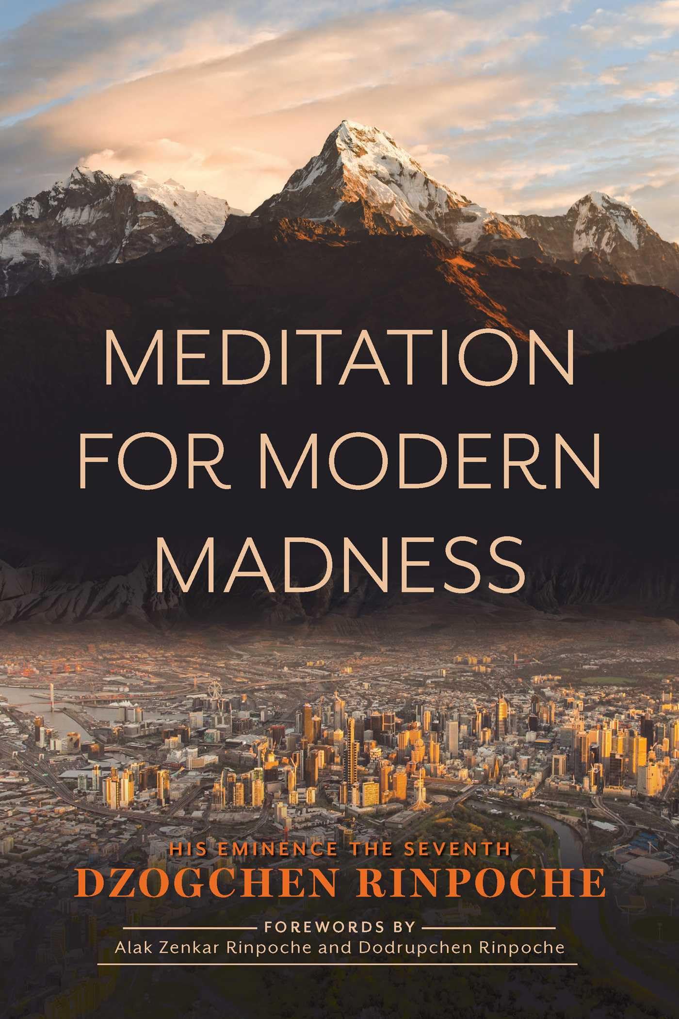Product Image: Meditation for Modern Madness