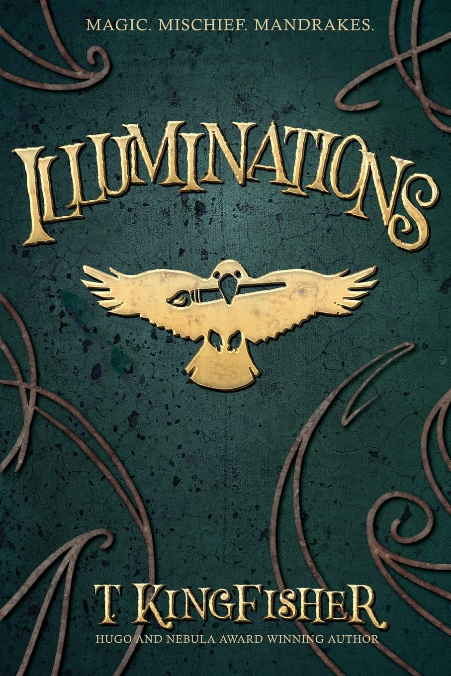 Illuminations Contemporary literature