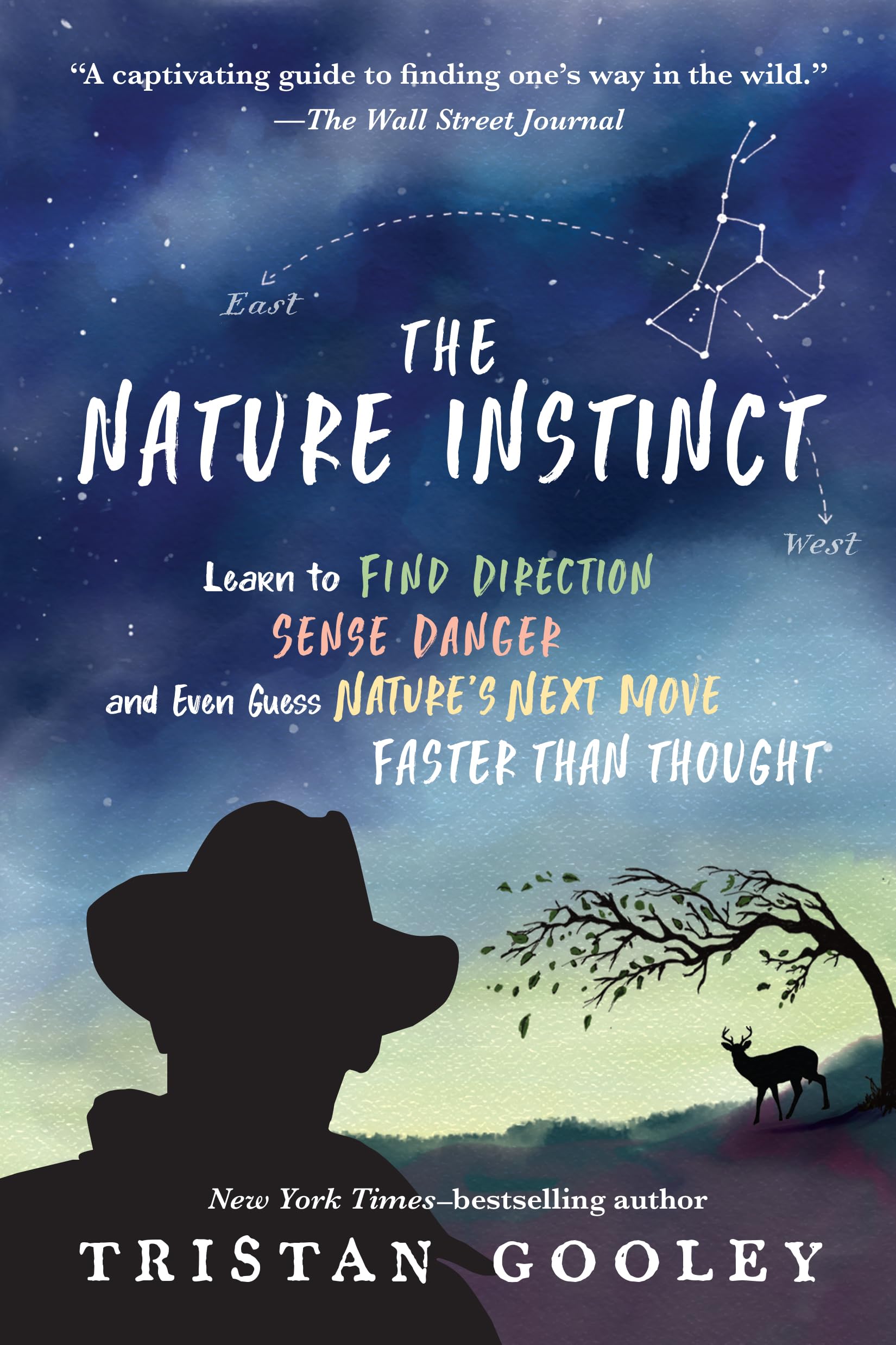 The Nature Instinct: Learn to Find Direction, Sense Danger, and Even Guess Nature’s Next Move―Faster Than Thought (Natural Navigation) Mathematics