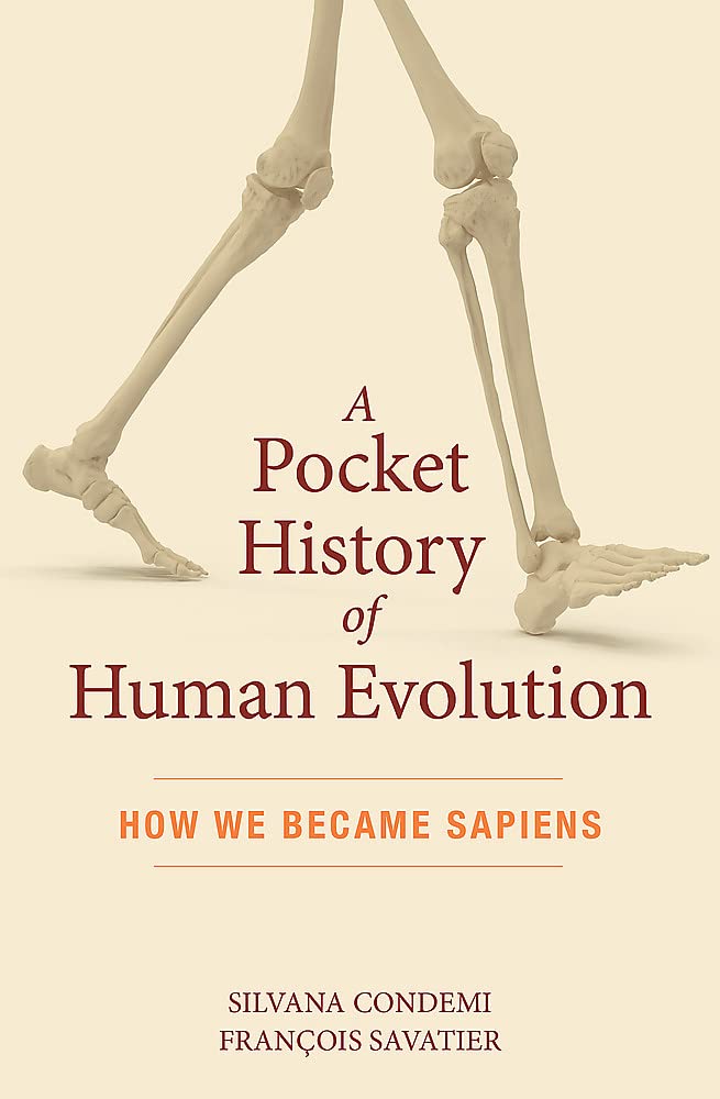 A Pocket History of Human Evolution: How We Became Sapiens Science