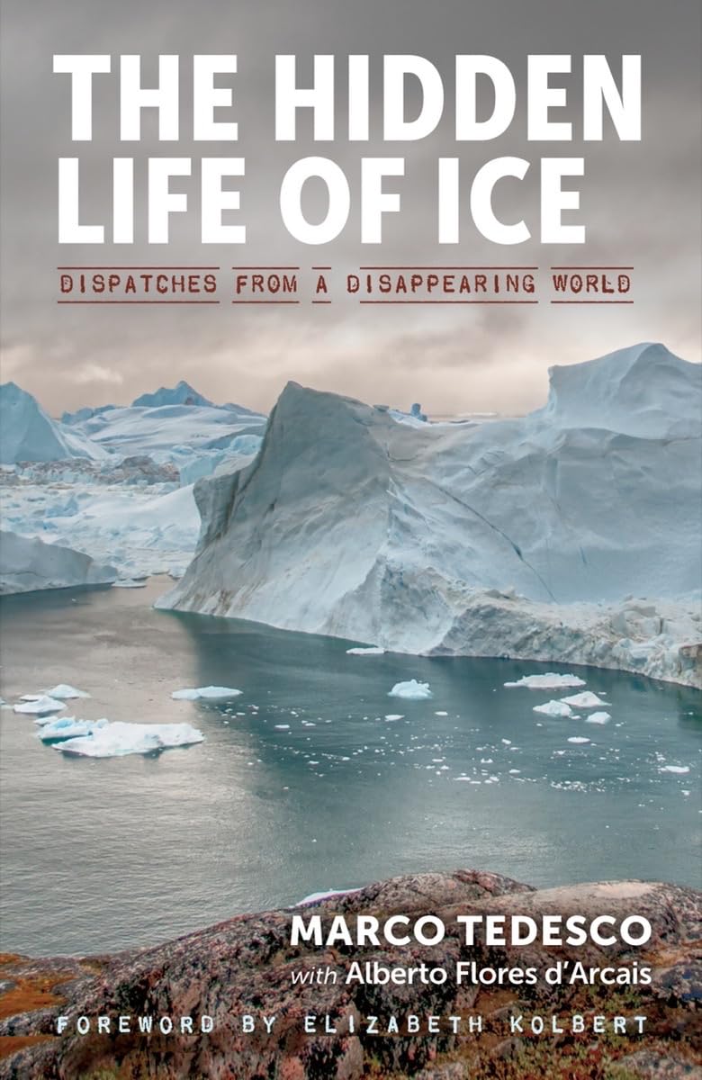 The Hidden Life of Ice Mathematics