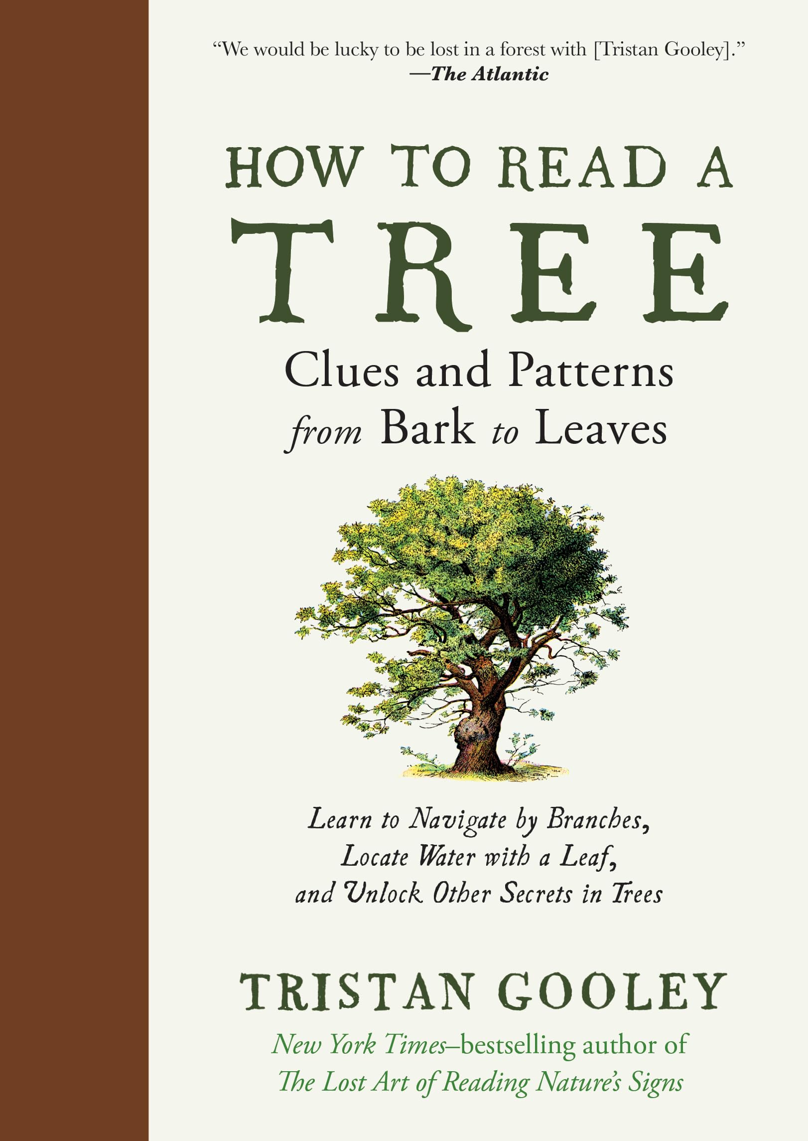 How to Read a Tree: Clues and Patterns from Bark to Leaves (Natural Navigation) Mathematics