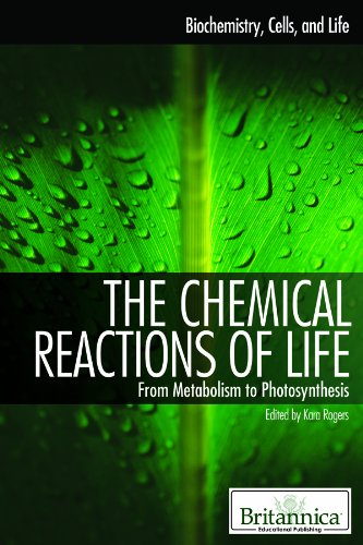 The Chemical Reactions of Life: From Metabolism to Photosynthesis (Biochemistry, Cells, and Life) Education