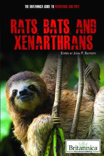 Rats, Bats, and Xenarthrans (The Britannica Guide to Predators and Prey) Mathematics