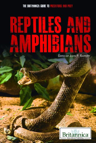Reptiles and Amphibians (The Britannica Guide to Predators and Prey) Mathematics