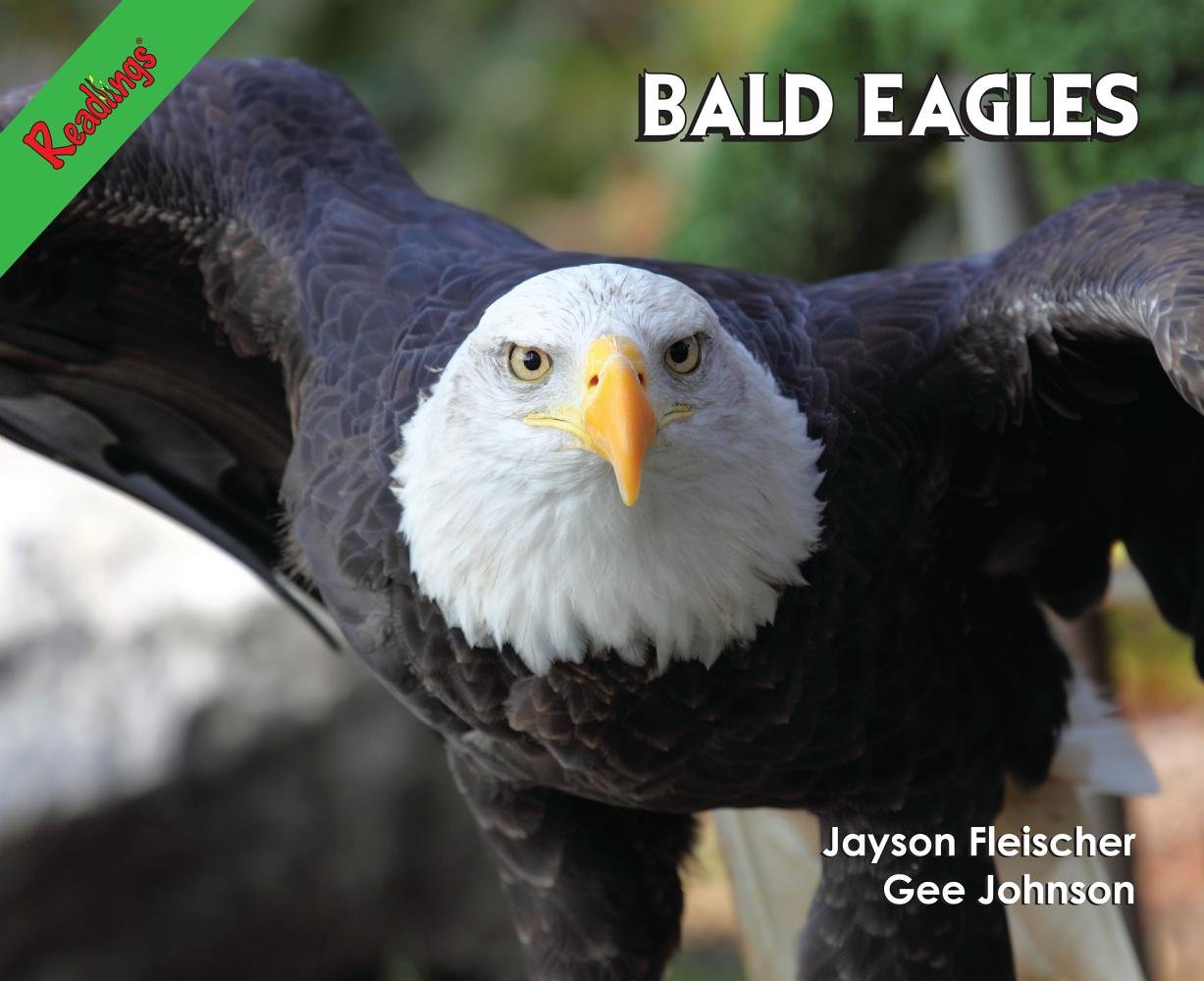 Bald Eagles (Power 100) Non-fiction