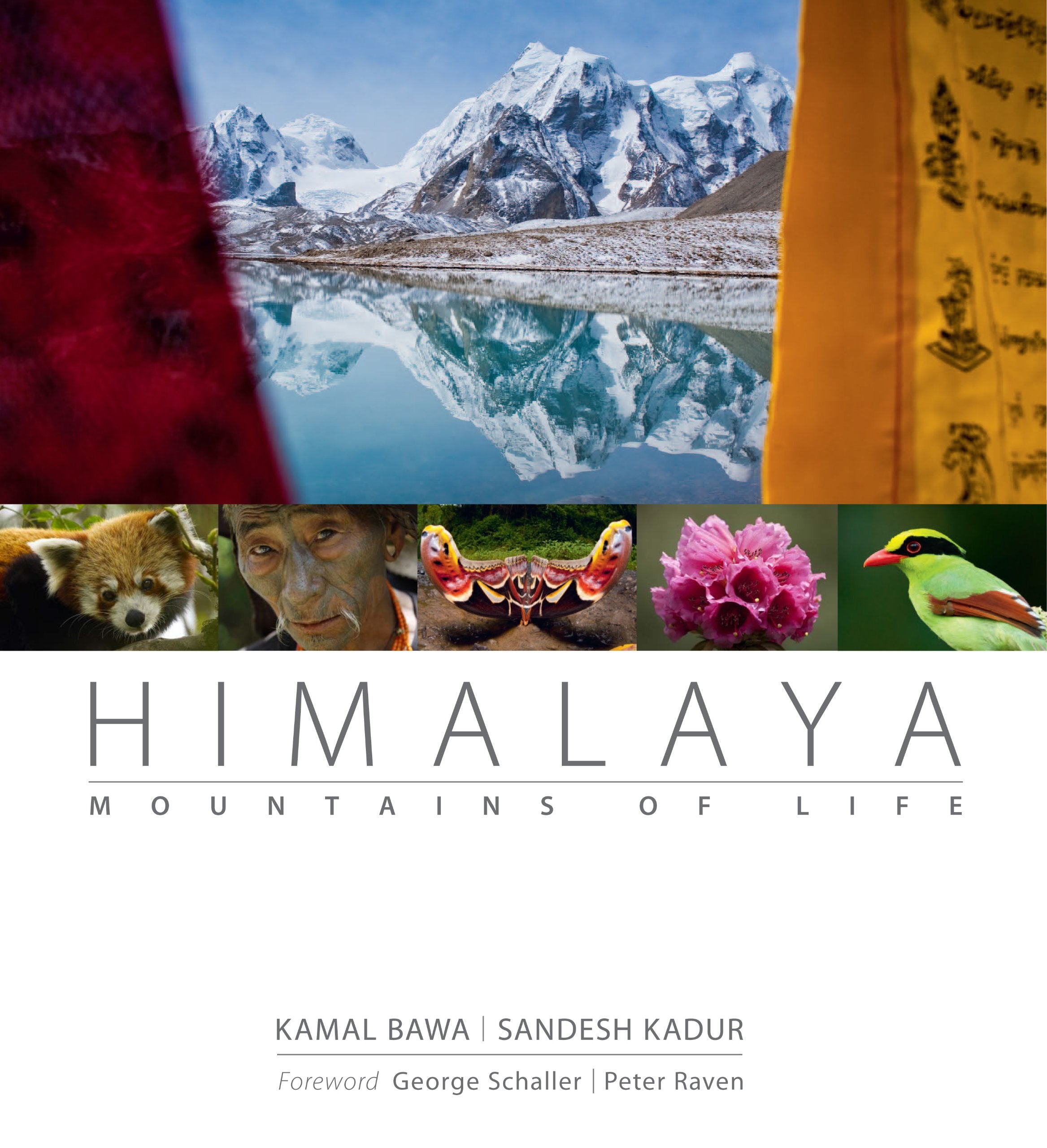 Himalaya: Mountains of Life Mathematics
