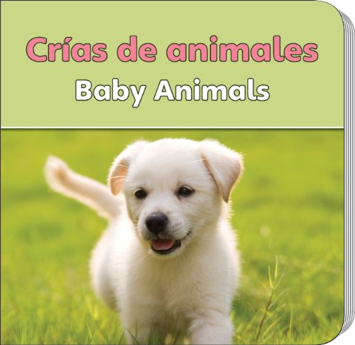 Crias de animales / Baby Animals Non-fiction