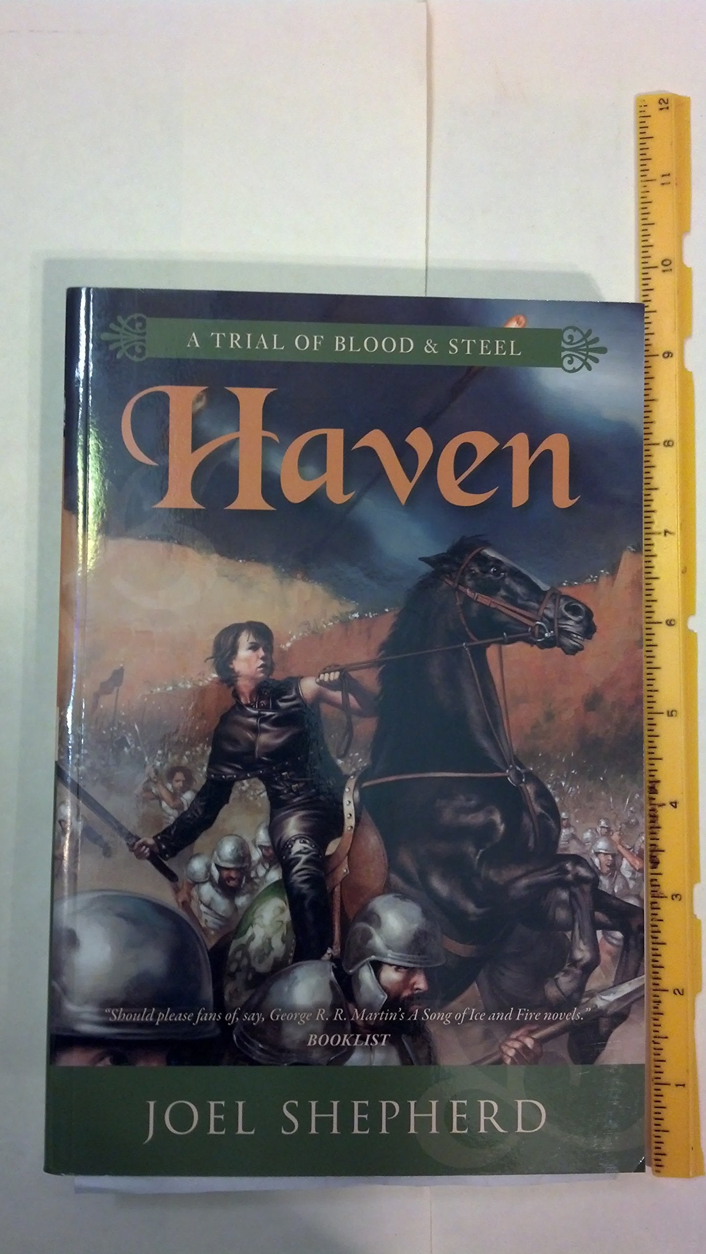 Haven (Trial of Blood & Steel, Band 4) Books