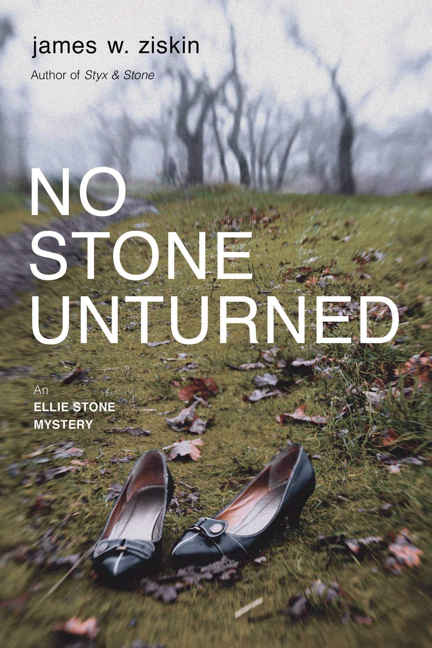 No Stone Unturned: An Ellie Stone Mystery (Ellie Stone Mysteries, Band 2) Contemporary literature