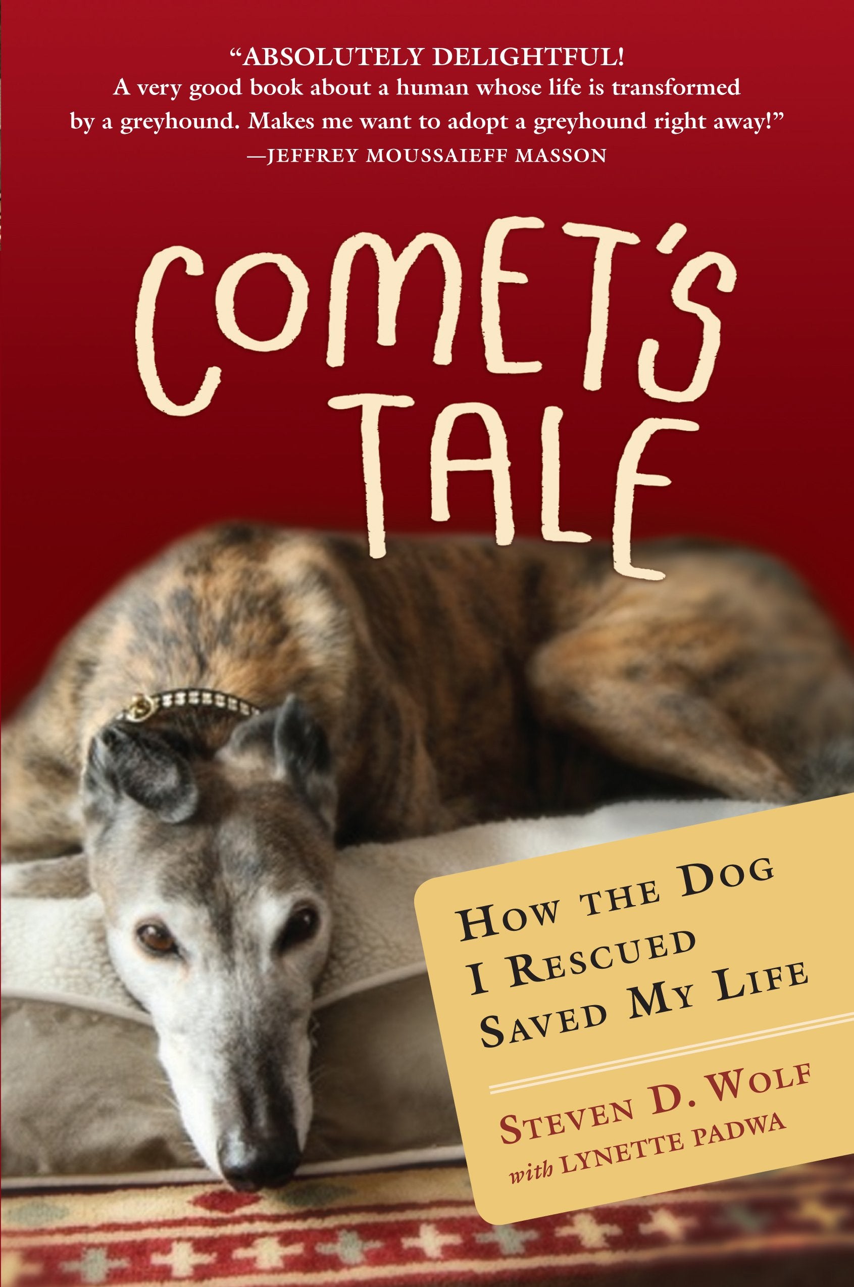 Comet's Tale: How the Dog I Rescued Saved My Life book
