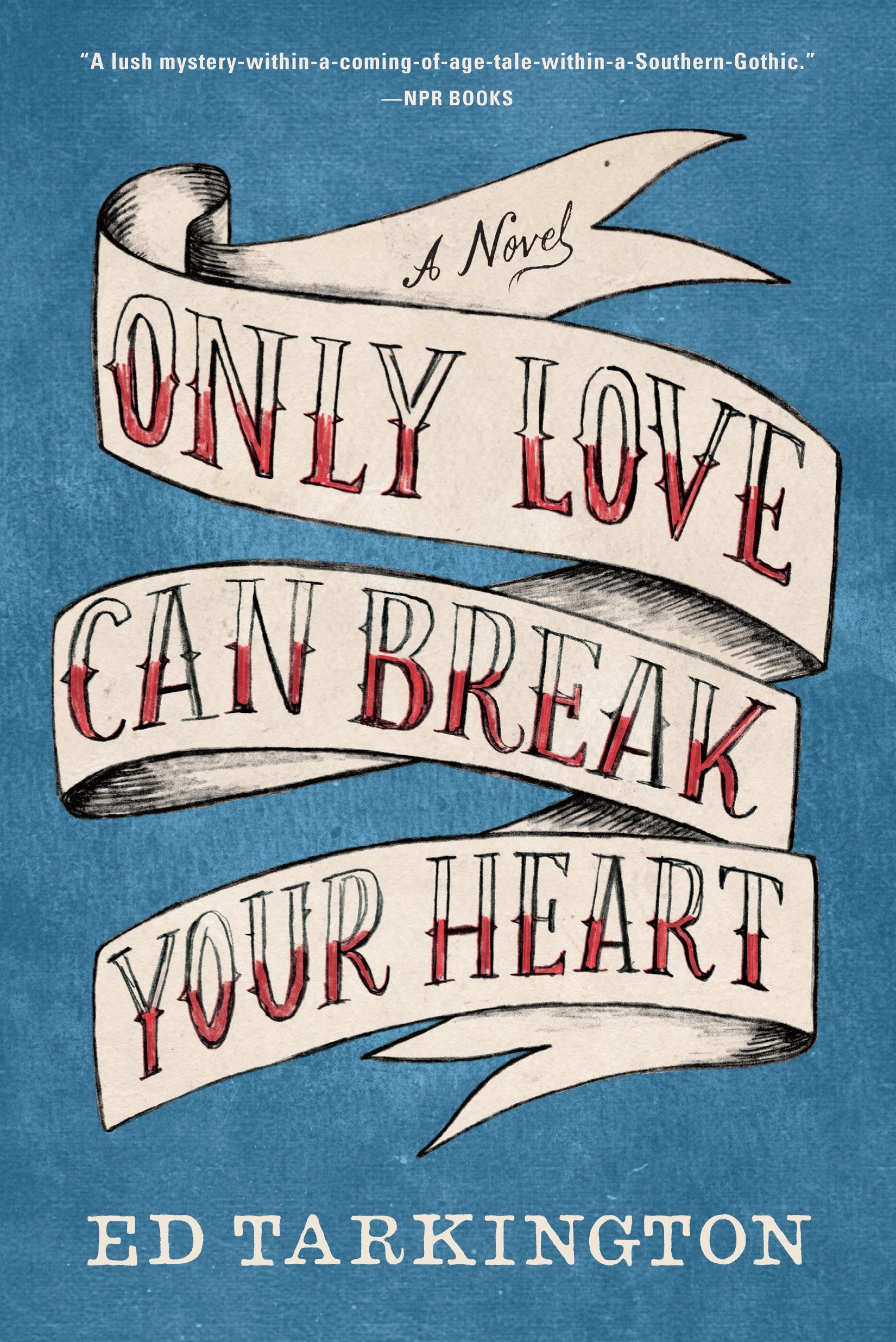 Only Love Can Break Your Heart: A Novel Contemporary literature