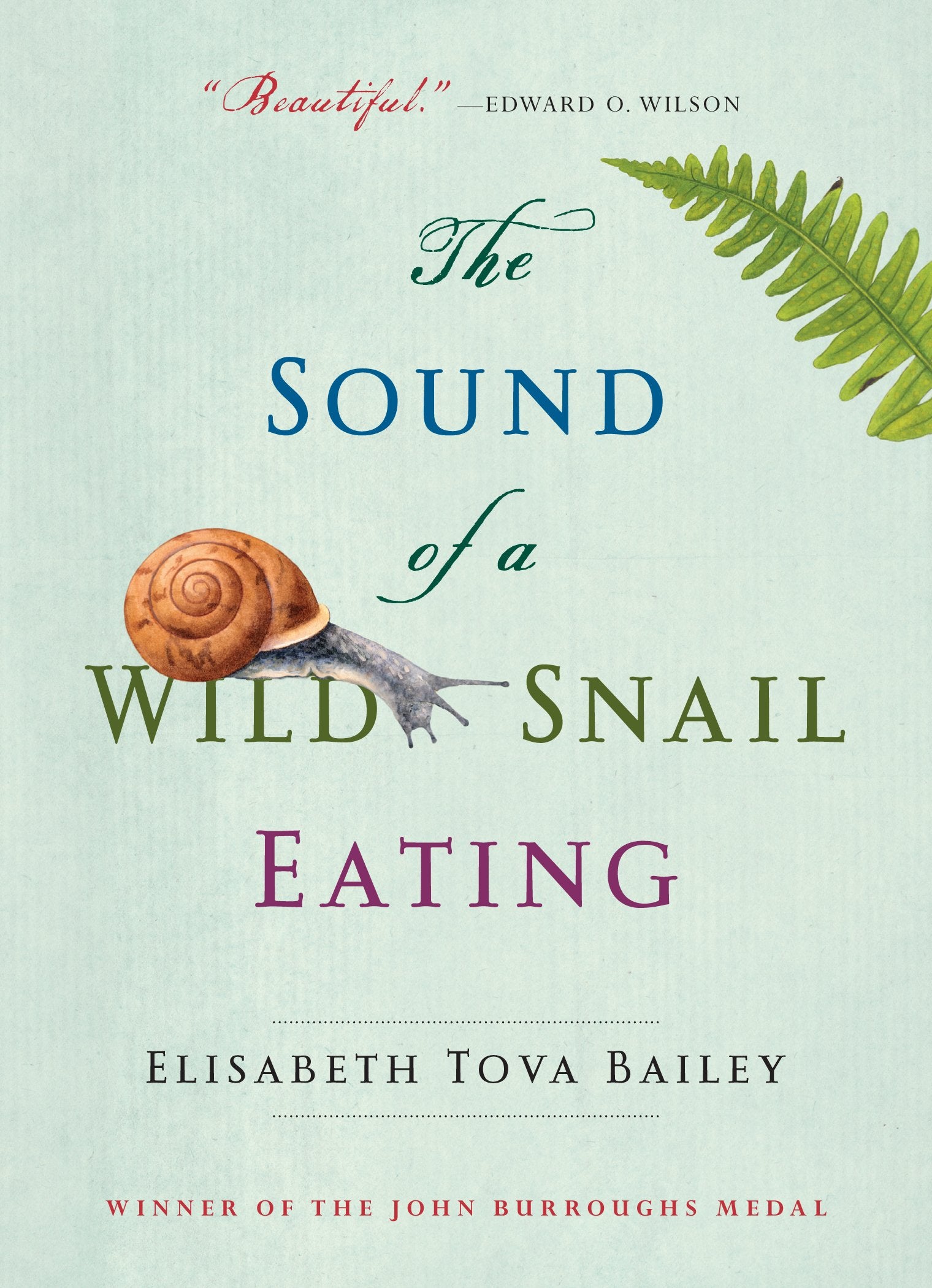 Sound of a Wild Snail Eating Memories