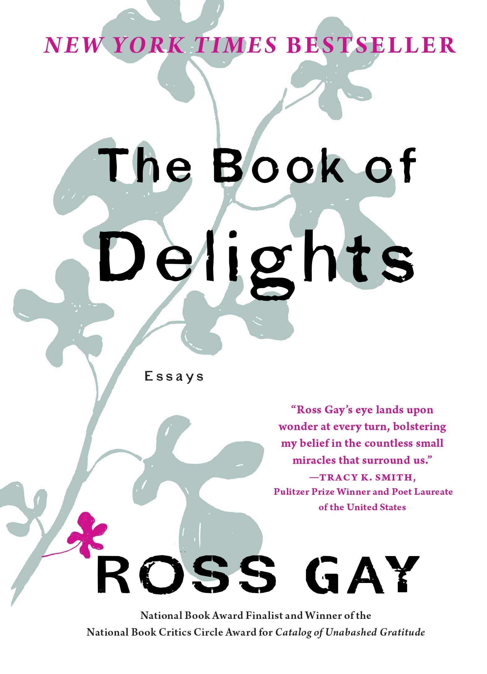 The Book of Delights: Essays Social Sciences