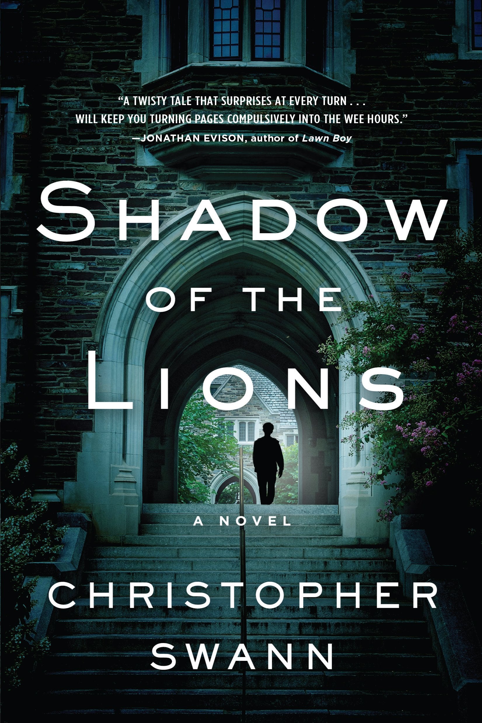 Shadow of the Lions: A Novel Contemporary literature