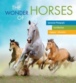 The Wonder of Horses book