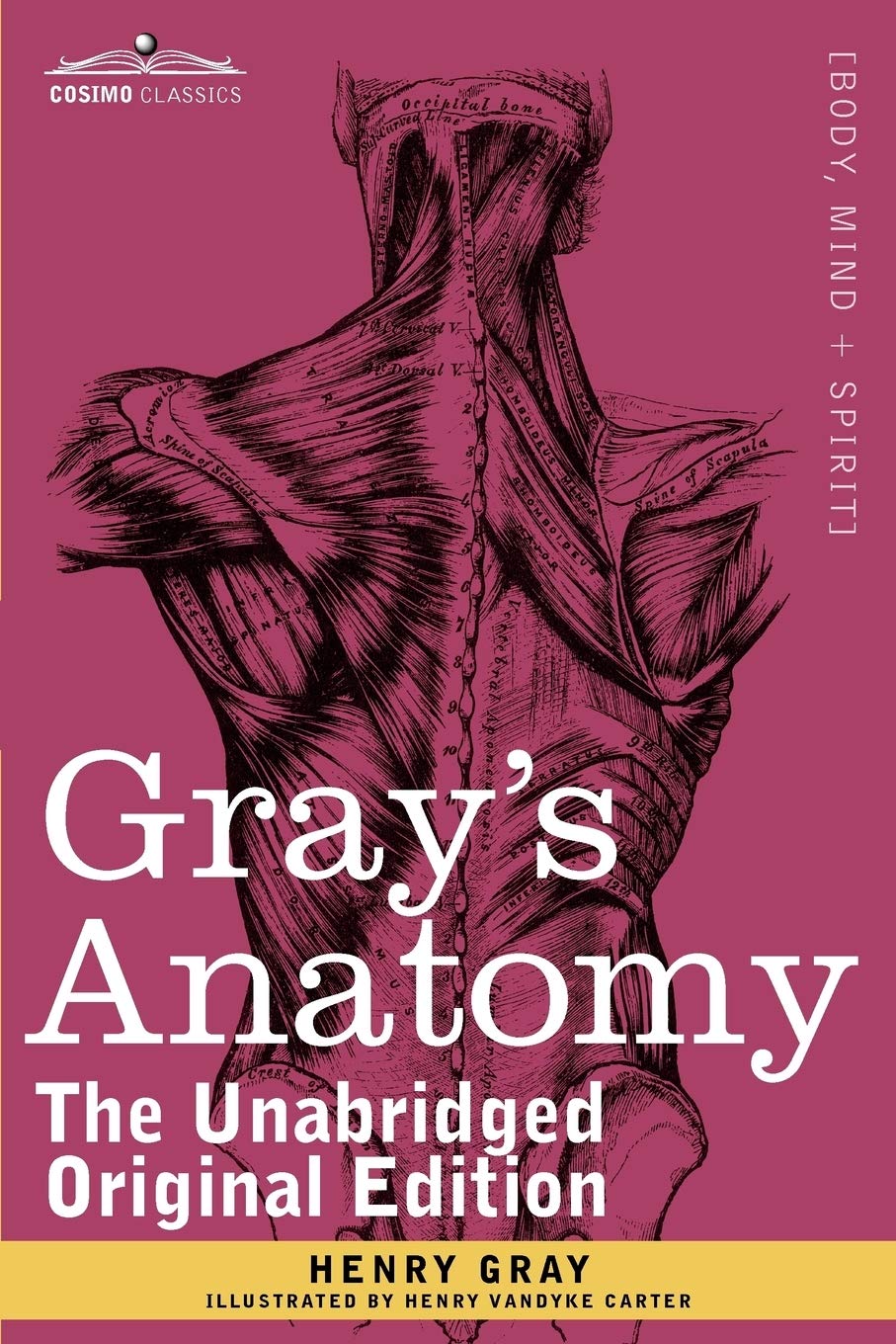Gray's Anatomy: Descriptive and Surgical Medicine