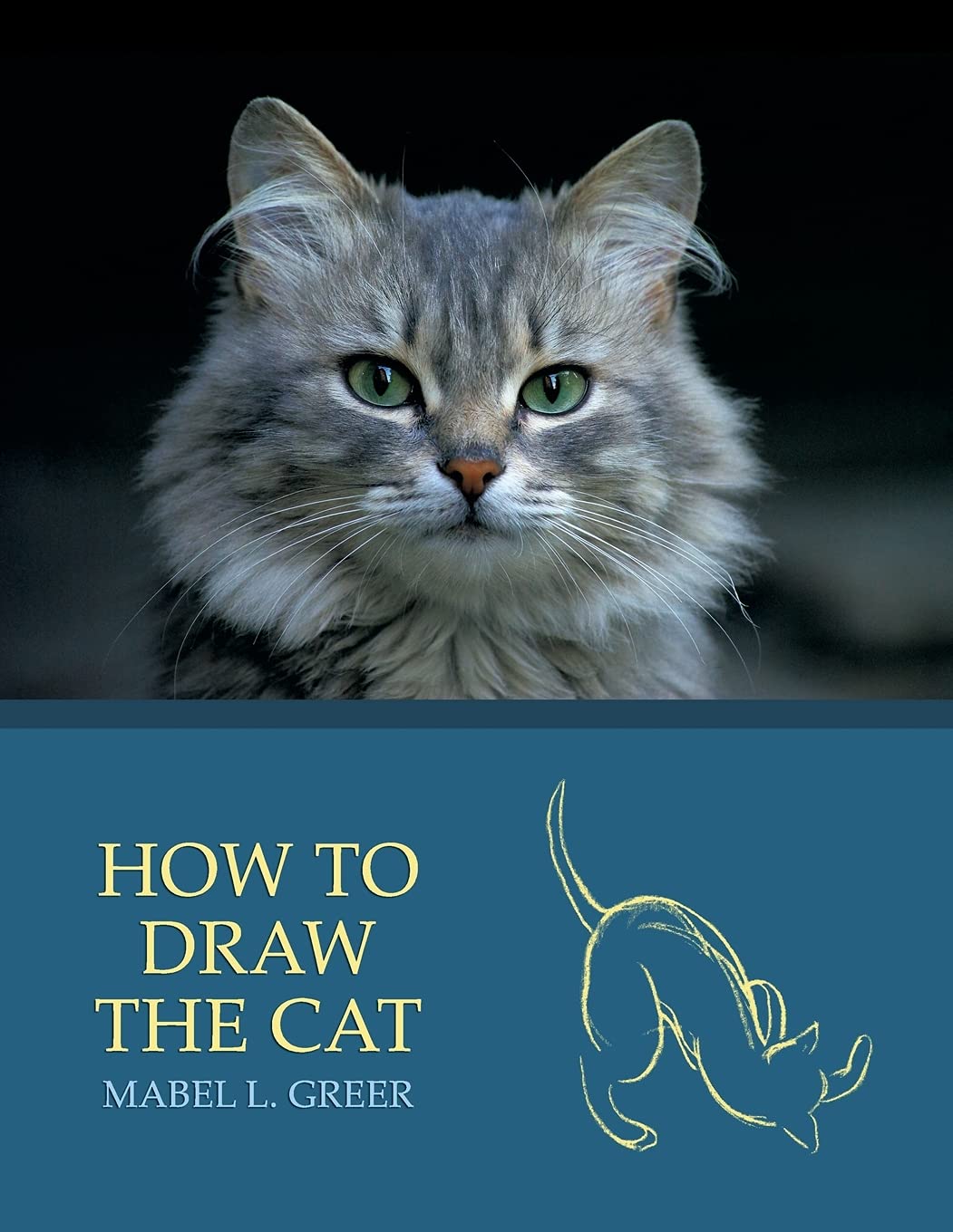 How to Draw the Cat (Reprint Edition) Social Sciences