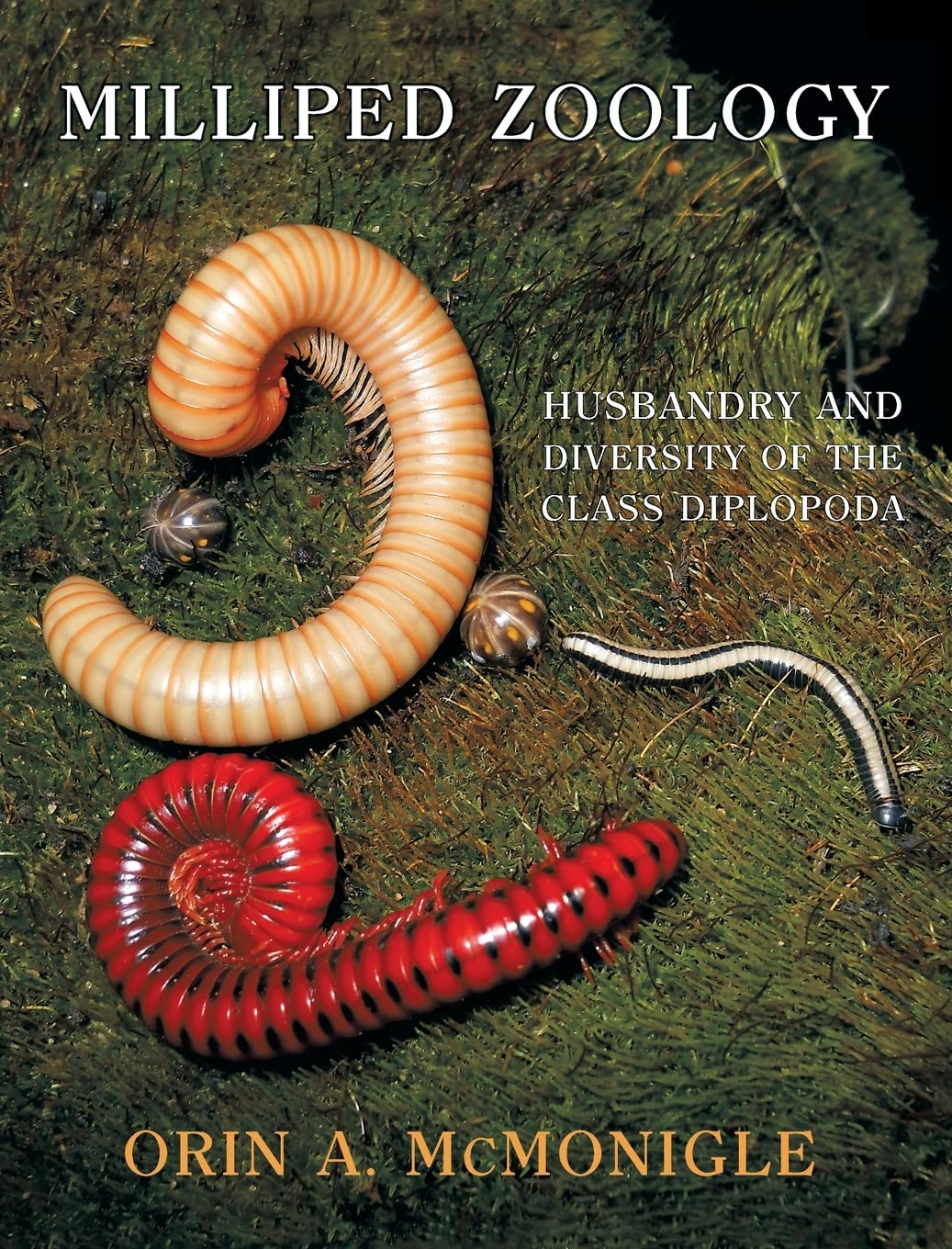 Milliped Zoology: Husbandry and Diversity of the Class Diplopoda Pets