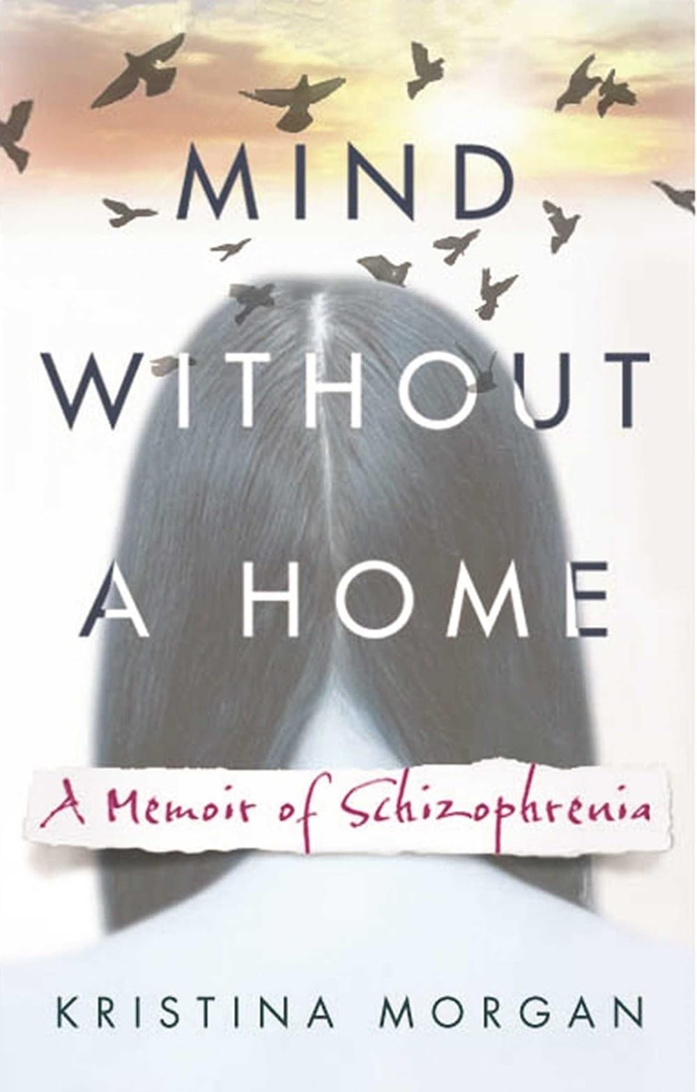 Mind Without a Home: A Memoir of Schizophrenia Medicine