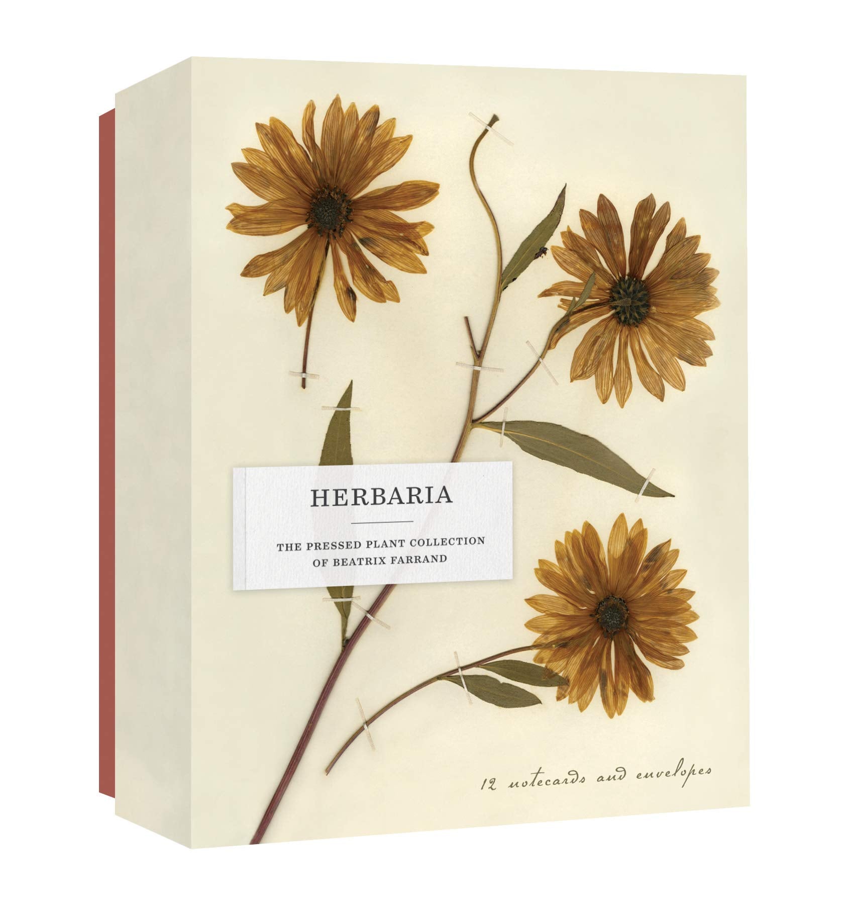 Herbaria: The Pressed Plant Collection of Beatrix Farrand: 12 Notecards and Envelopes Film, Art & Culture